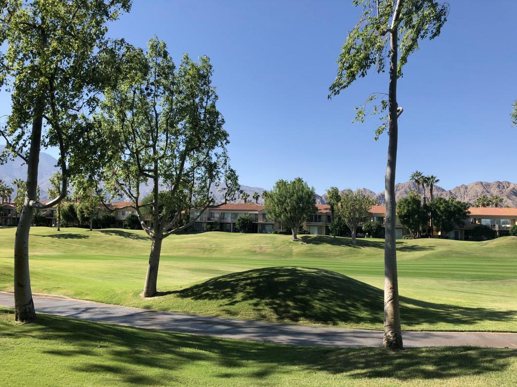 55371 Winged Foot