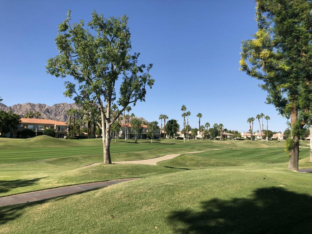 55371 Winged Foot