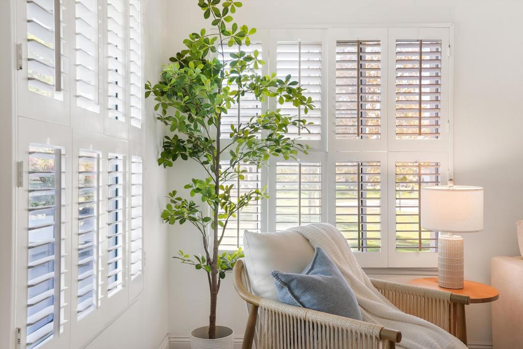 Bright sitting area with plantation shutters, a woven armchair, and a potted tree.