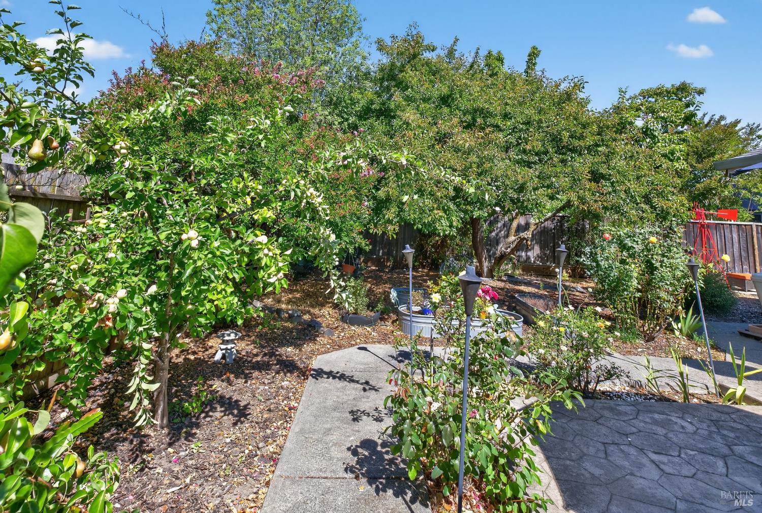 1082 San Francisco Way