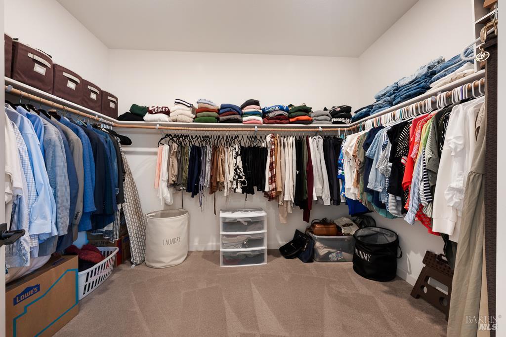7447 Wendy Drive