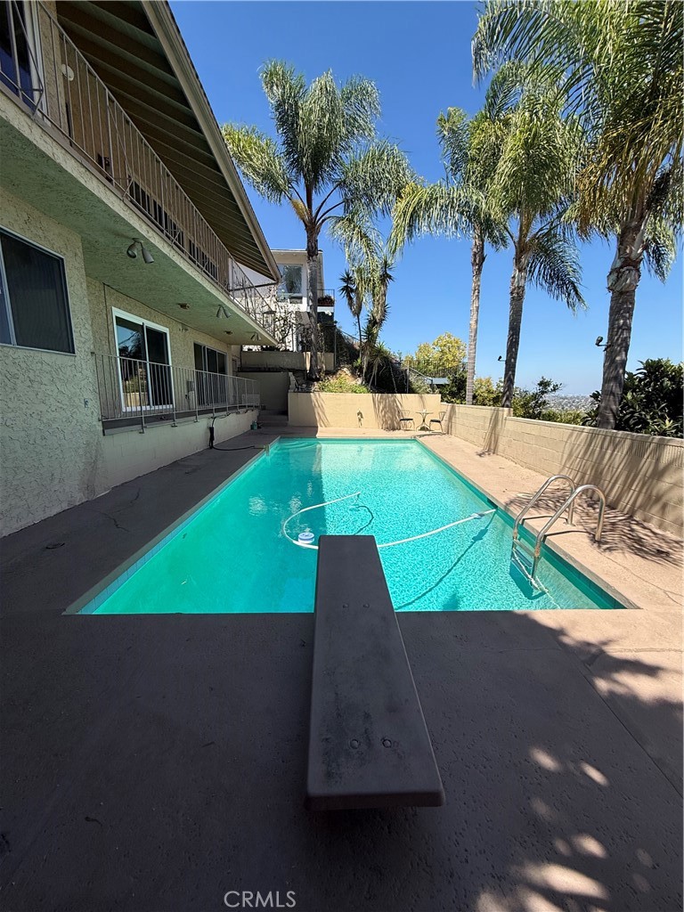 Backyard swimming pool with a diving board, patio, and tall palm trees.