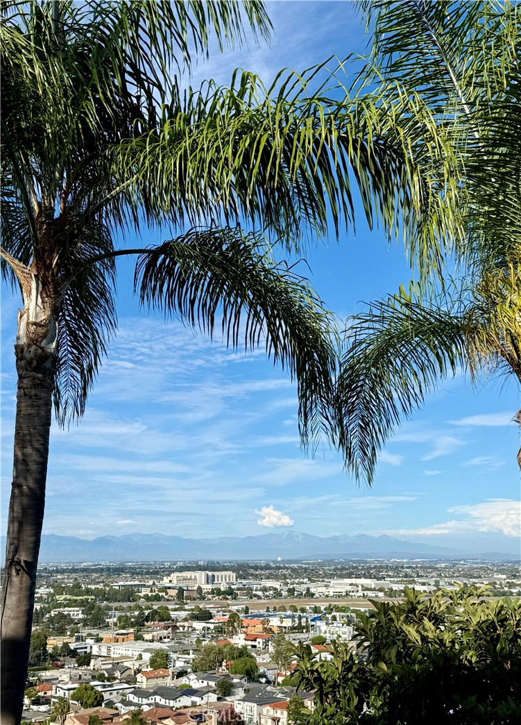 3927 Paseo de las Tortugas