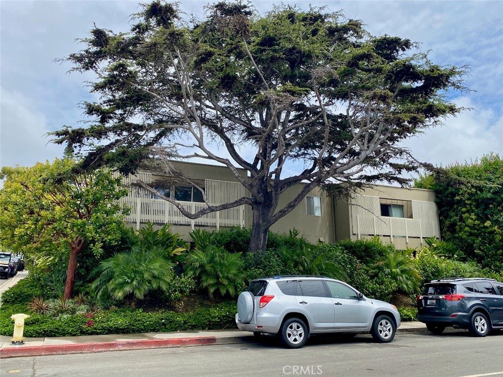 396 Cypress Drive A