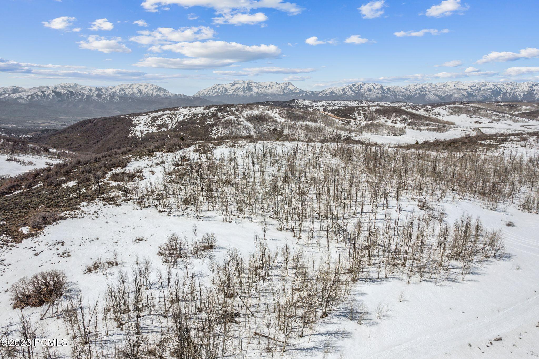 7367 E Forest Creek Road