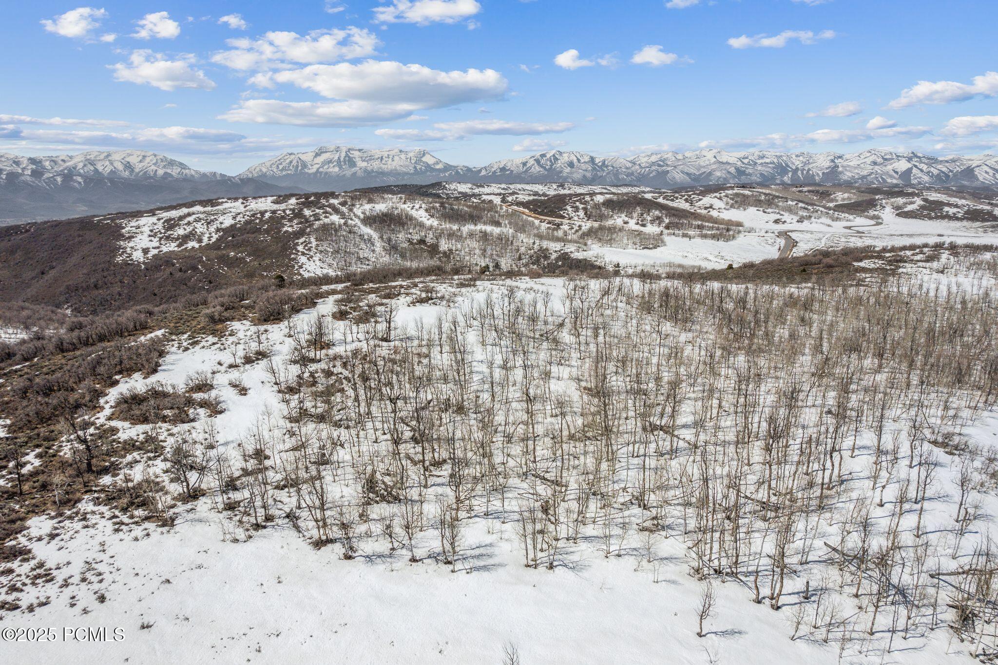 7367 E Forest Creek Road