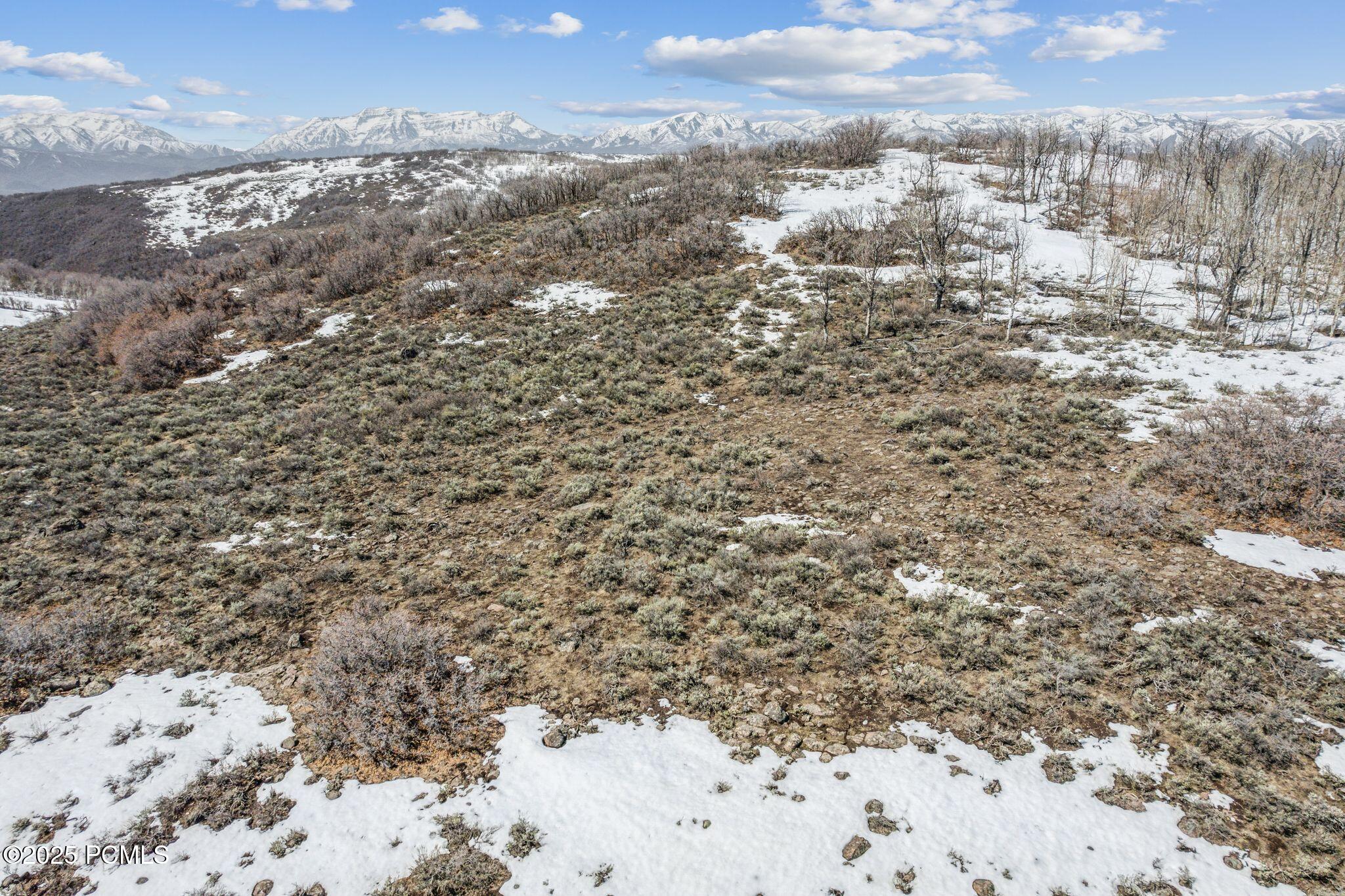 7367 E Forest Creek Road