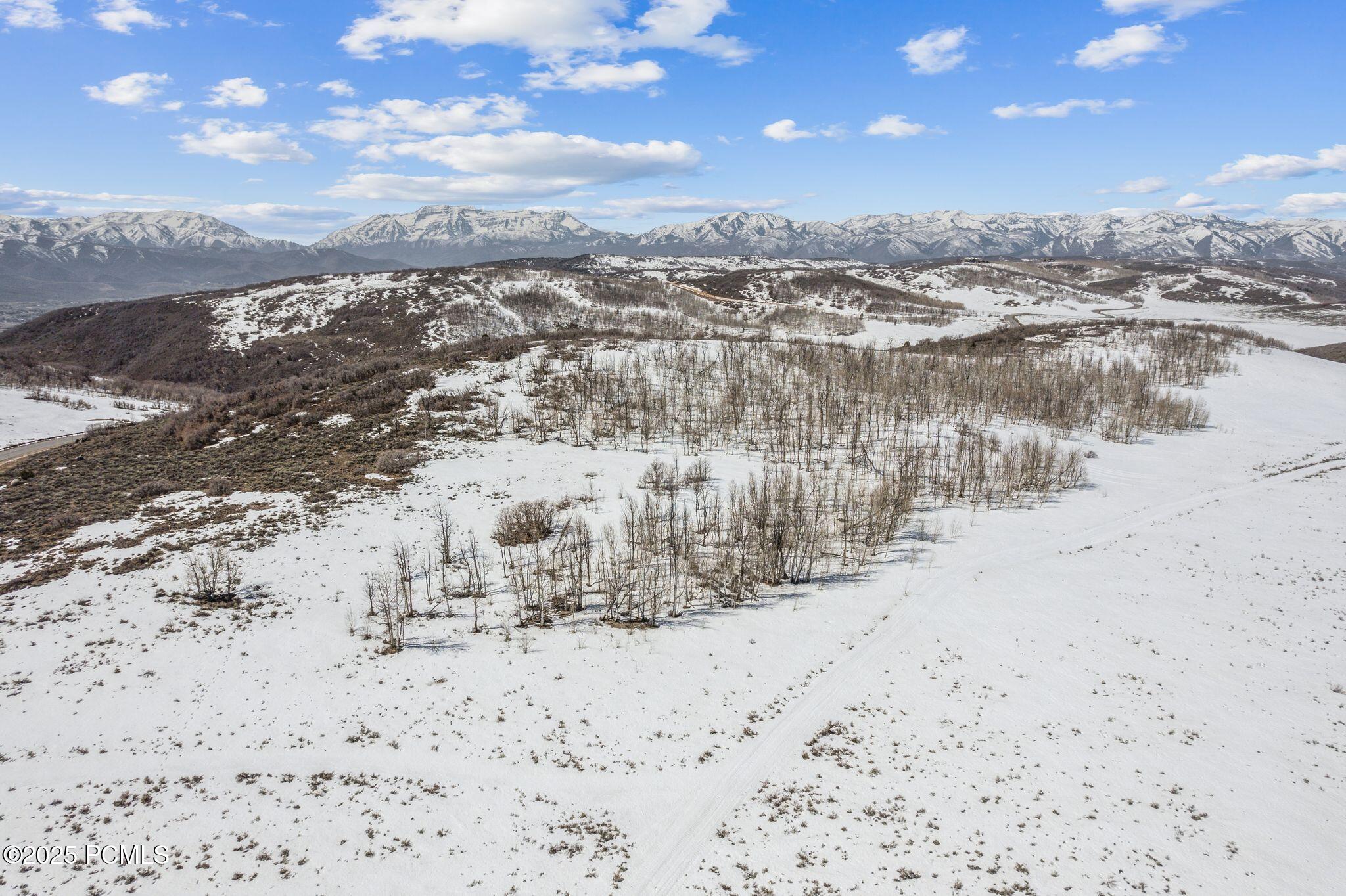 7367 E Forest Creek Road