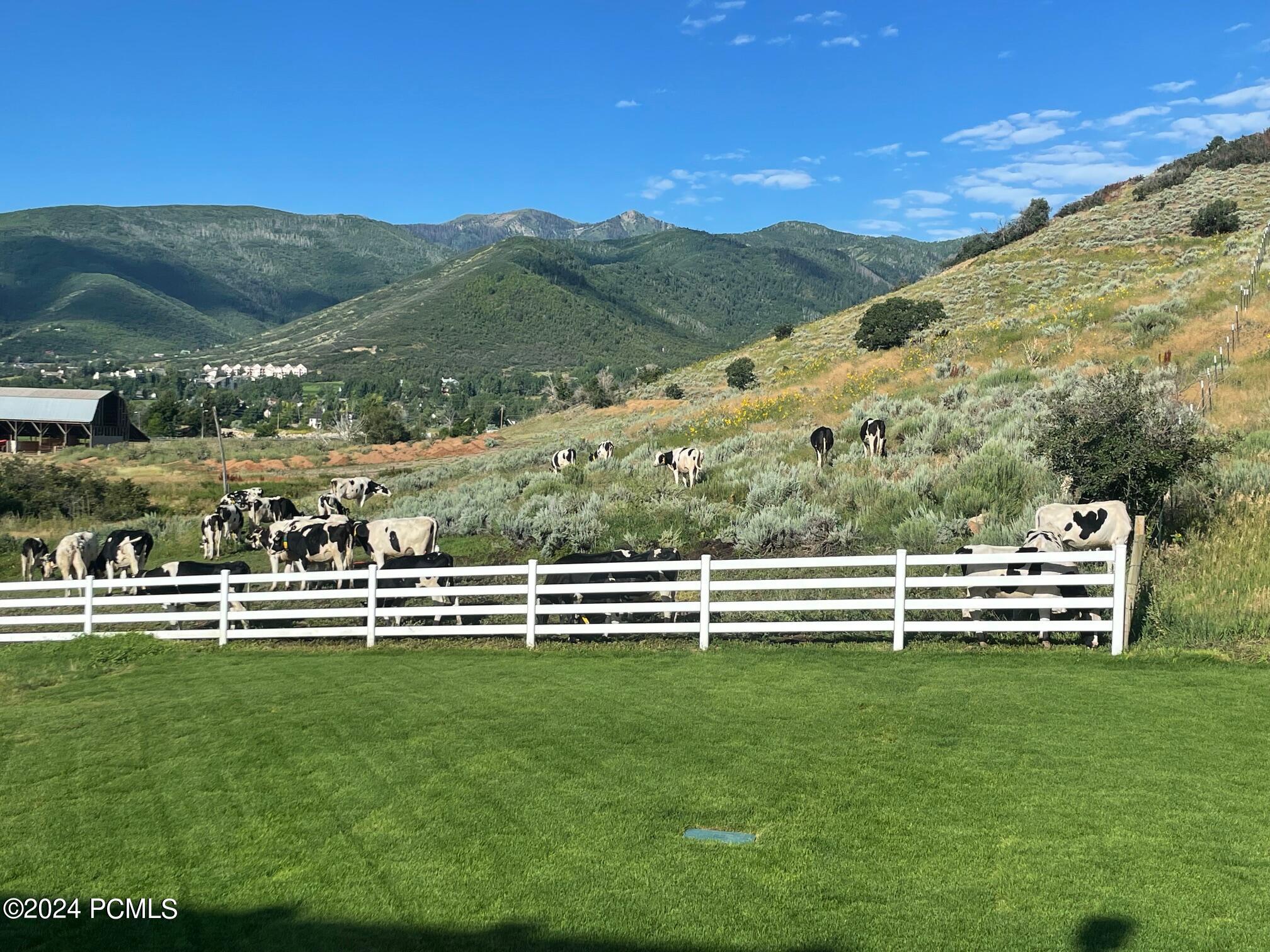 1441 N Jerry Gertsch Lane