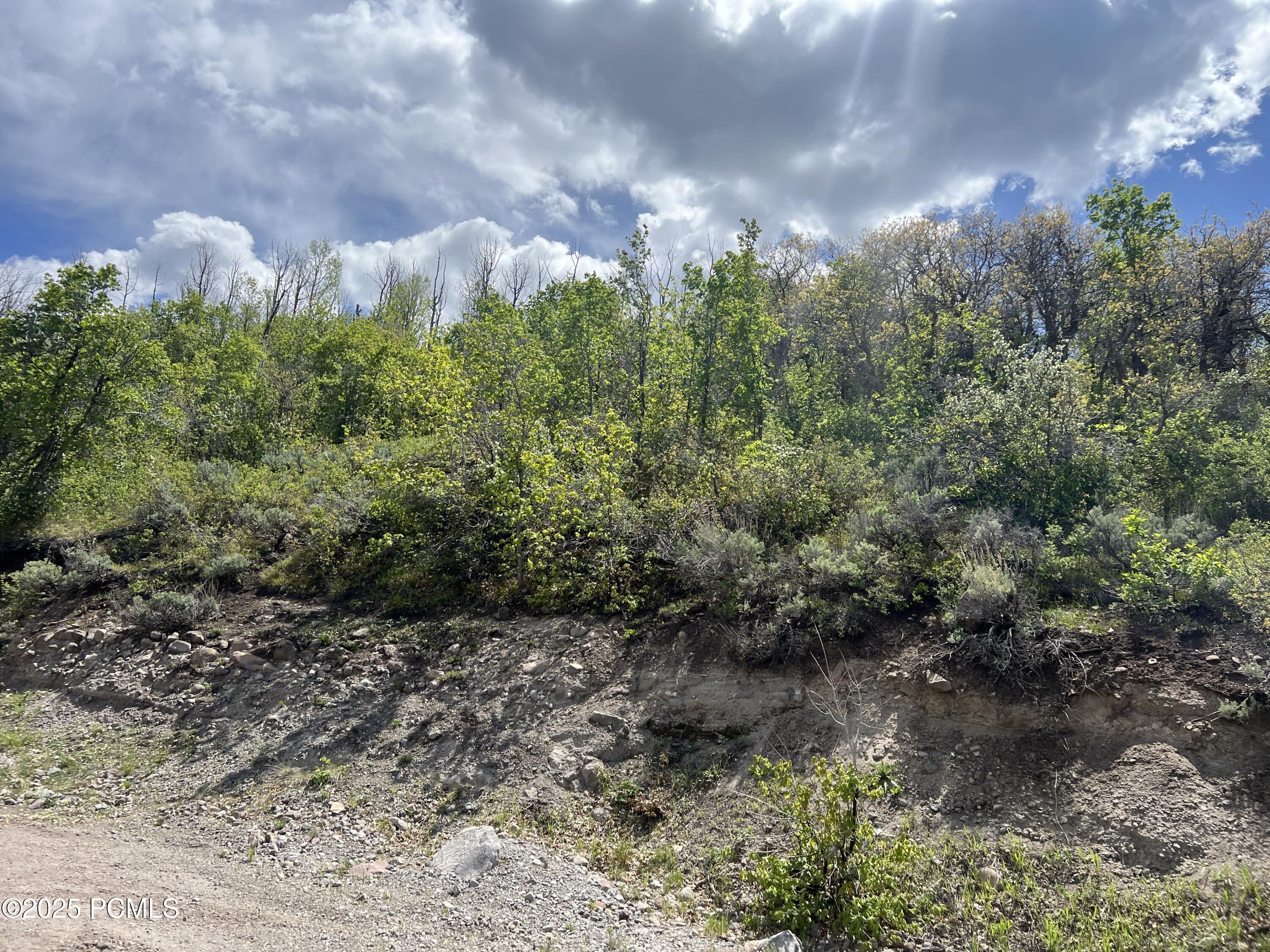 5012 S Sheep Dog Trail