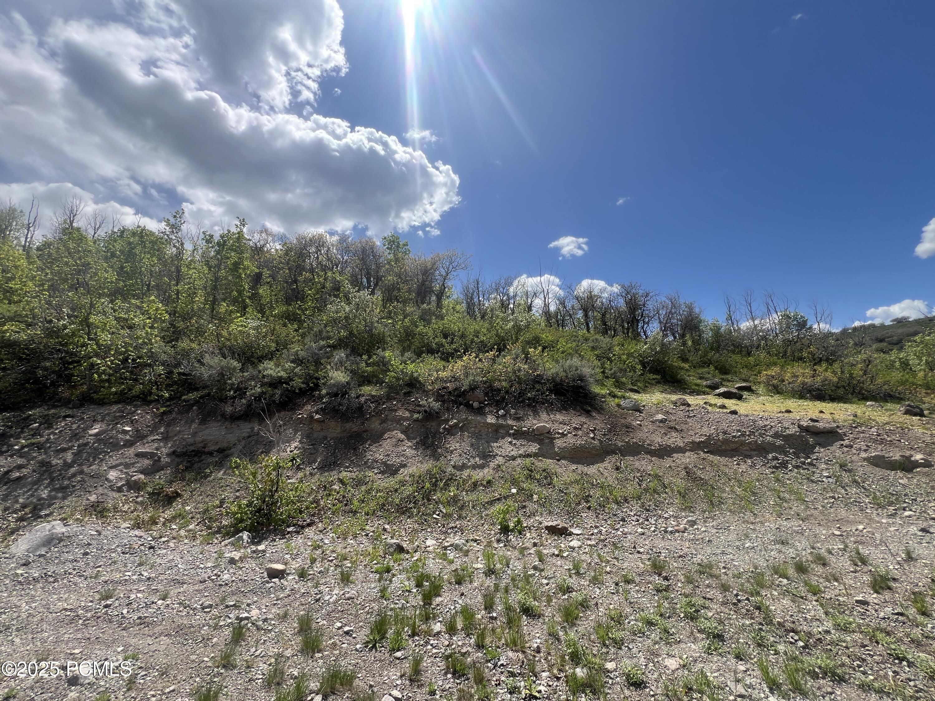 5012 S Sheep Dog Trail