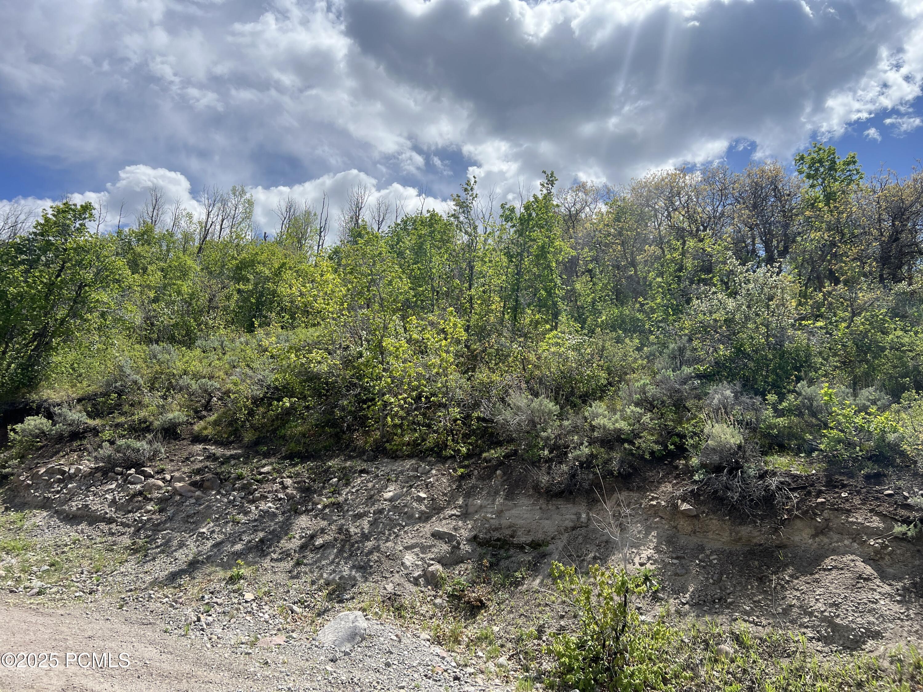 5012 S Sheep Dog Trail