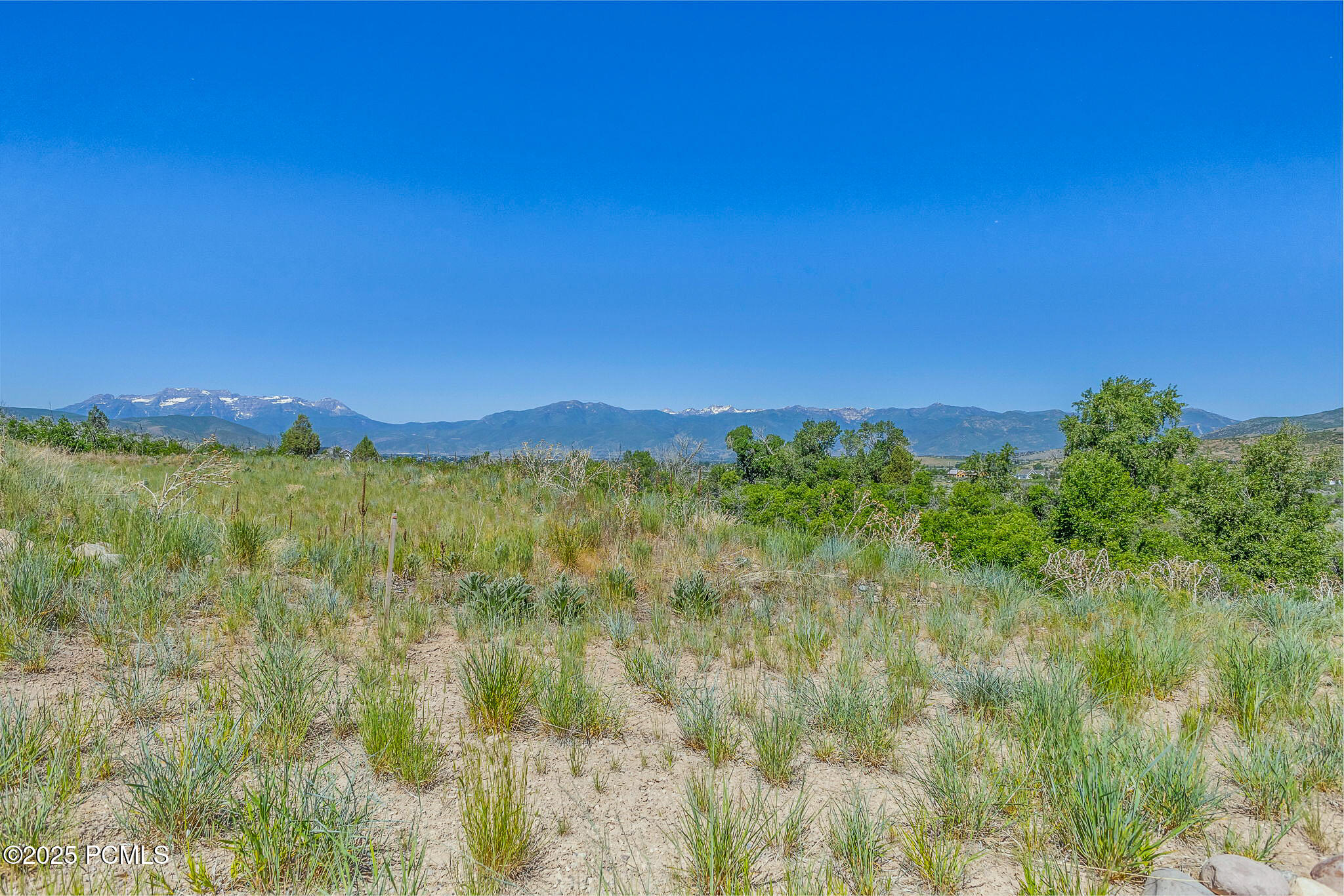 16 S Remuda Run Drive