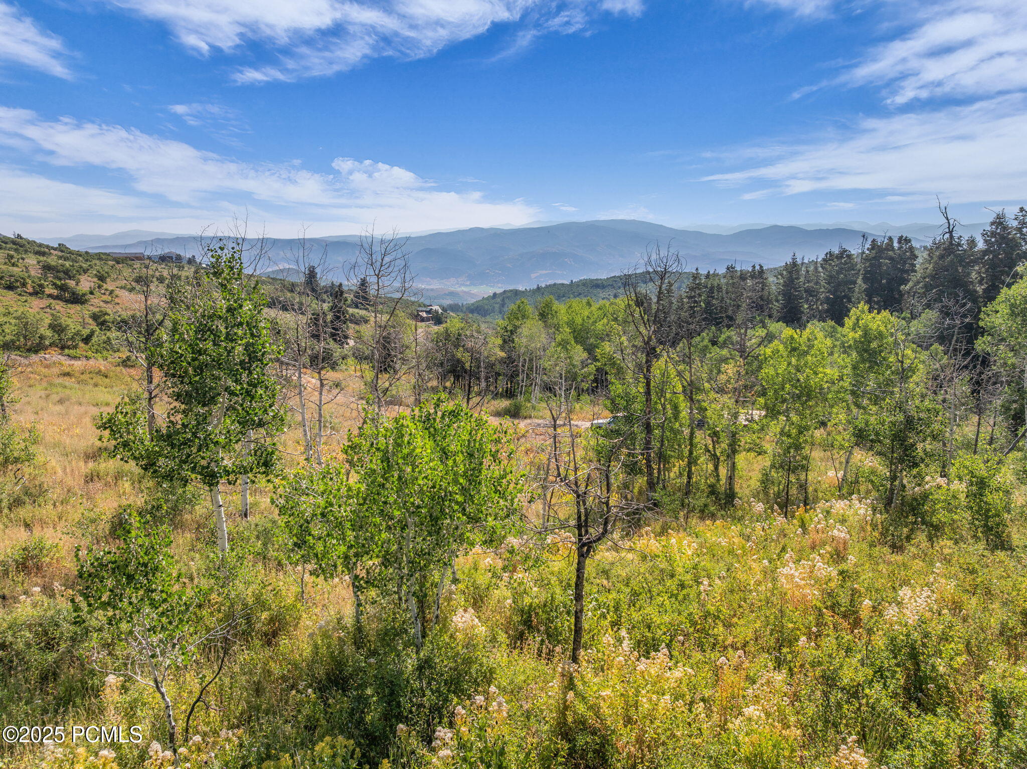 2412 S Bull Moose Drive