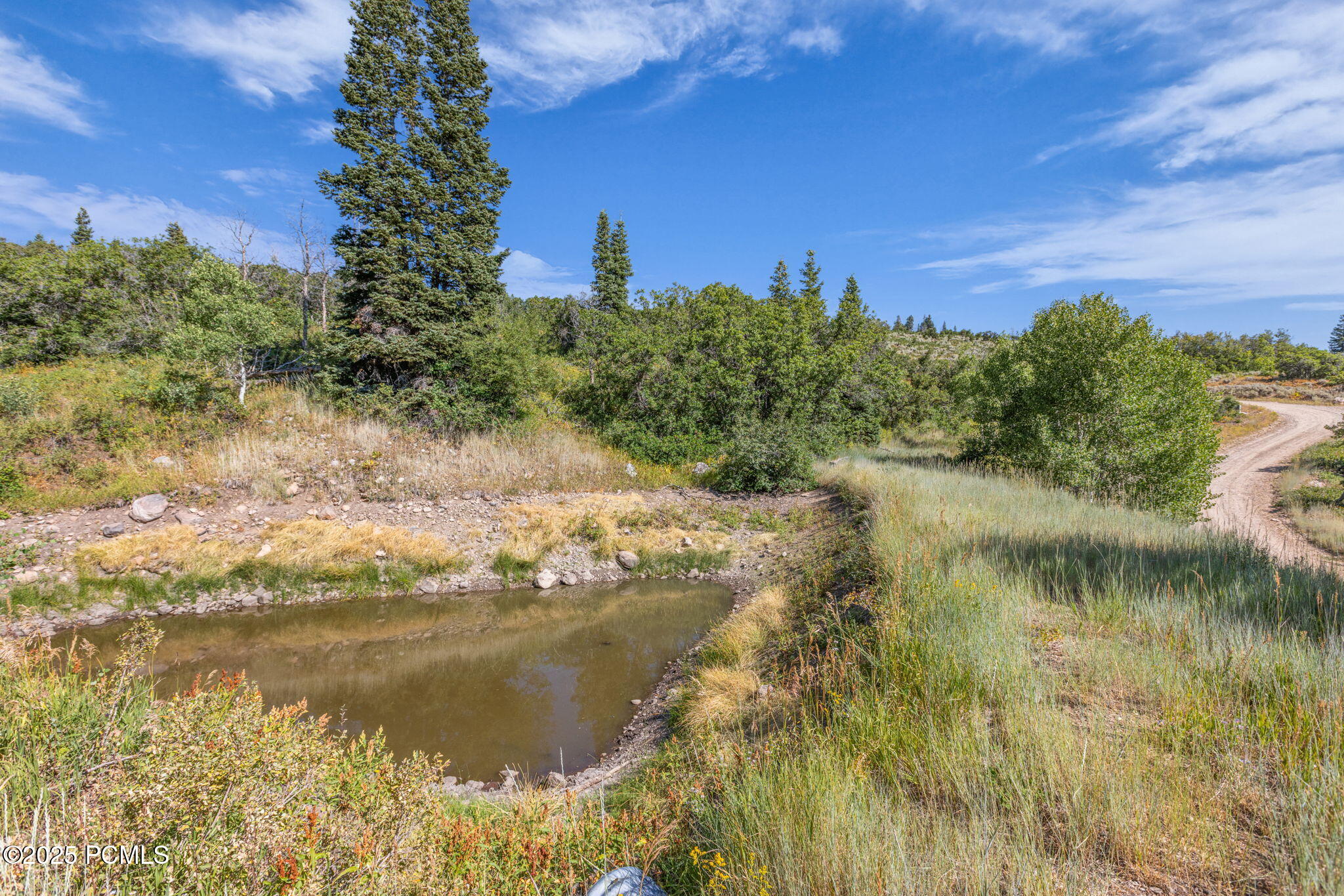 2412 S Bull Moose Drive