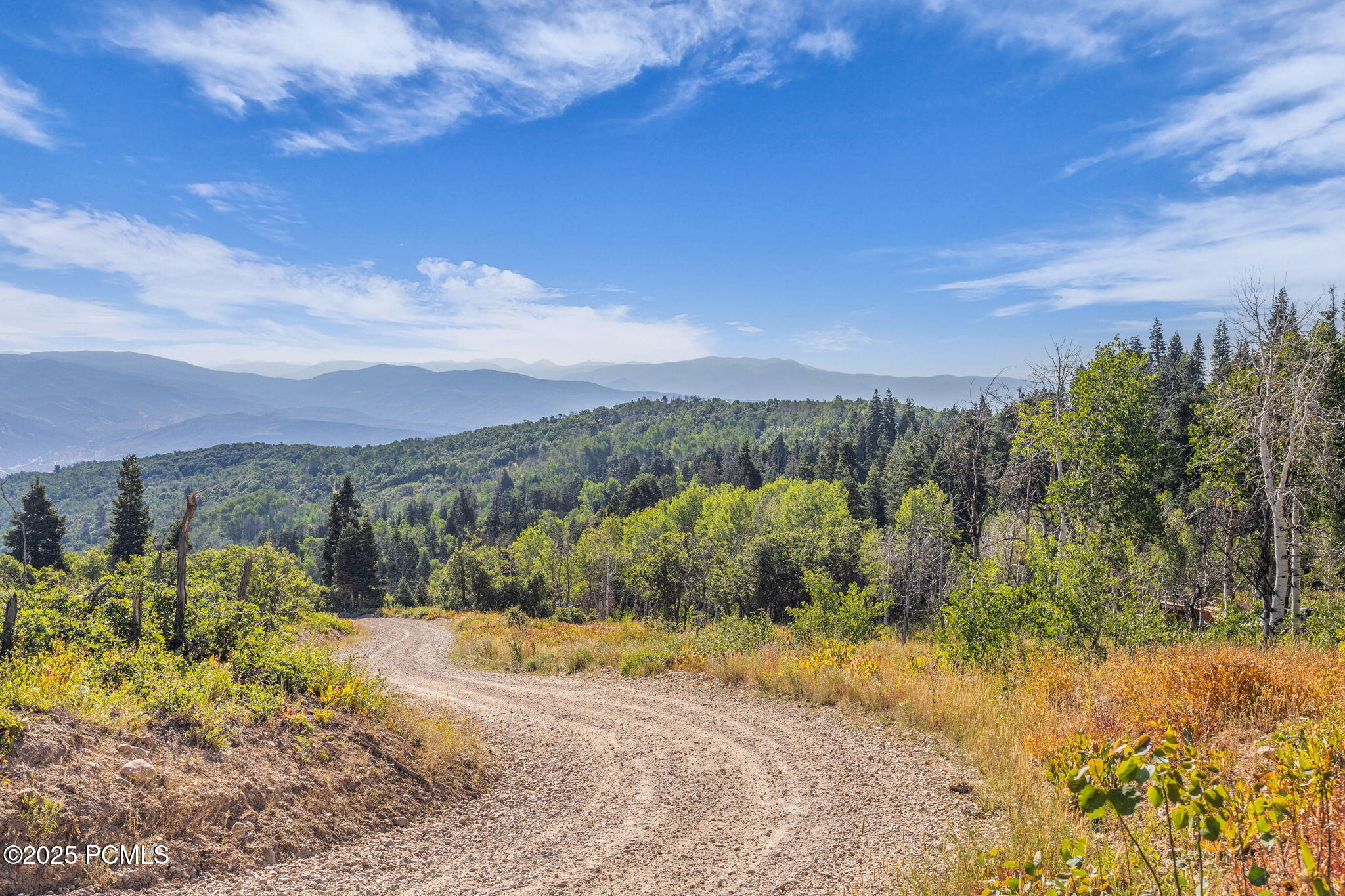 2412 S Bull Moose Drive