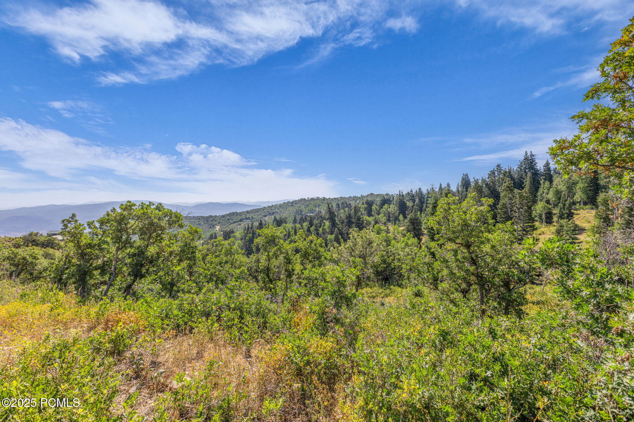 2412 S Bull Moose Drive