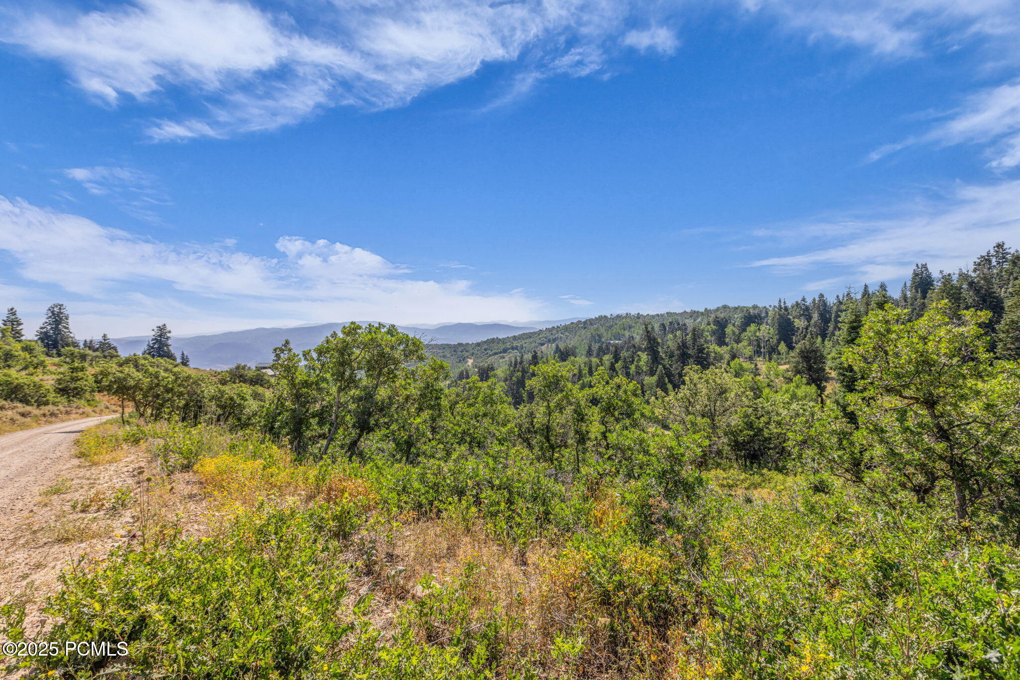 2412 S Bull Moose Drive