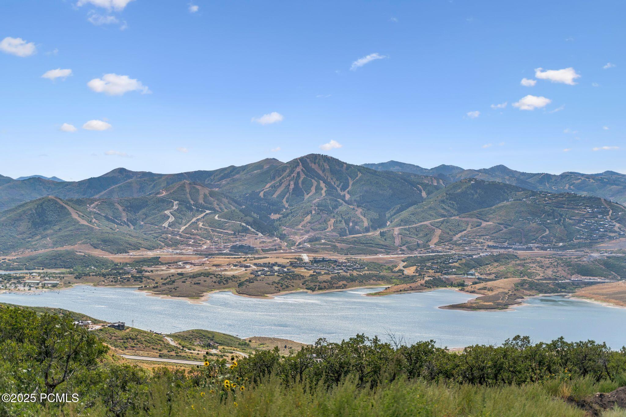 11432 N Balsam Root Lane