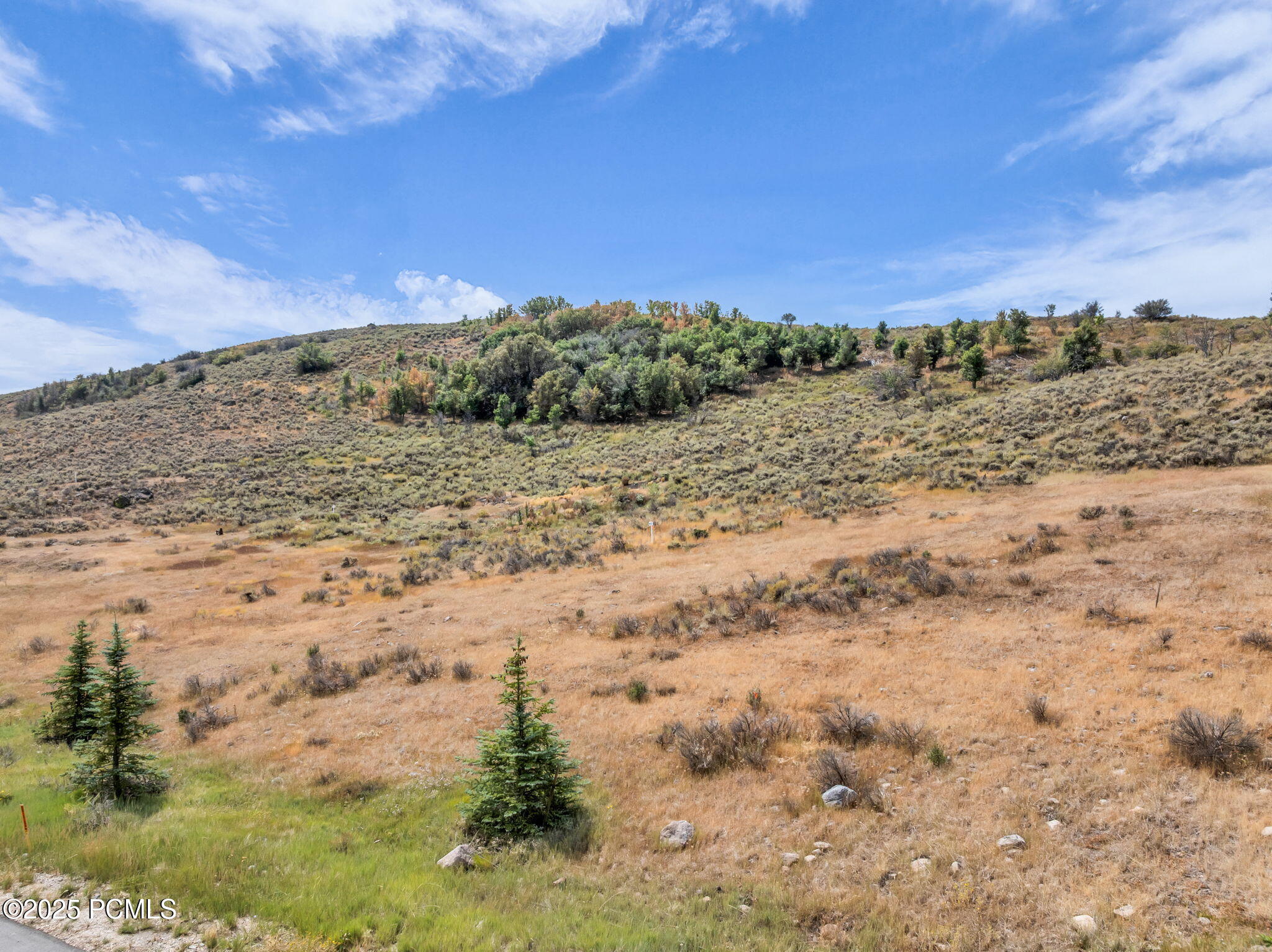 6297 Painted Valley Pass