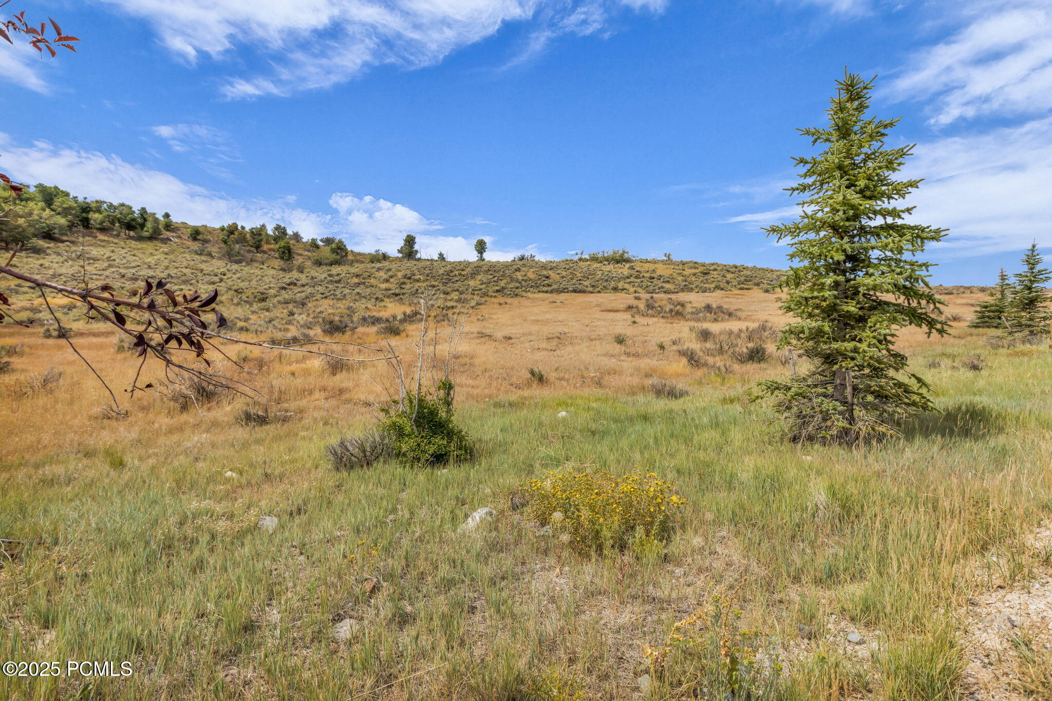 6297 Painted Valley Pass