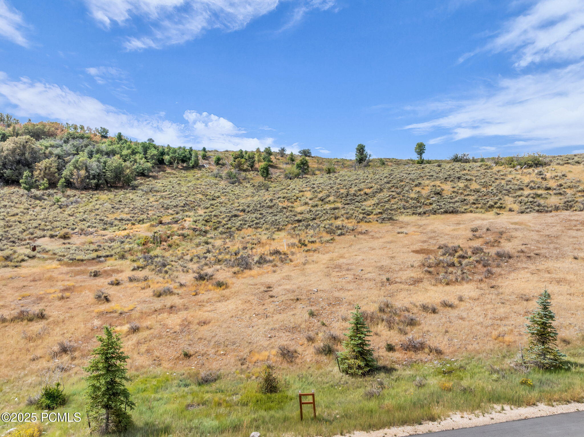 6297 Painted Valley Pass