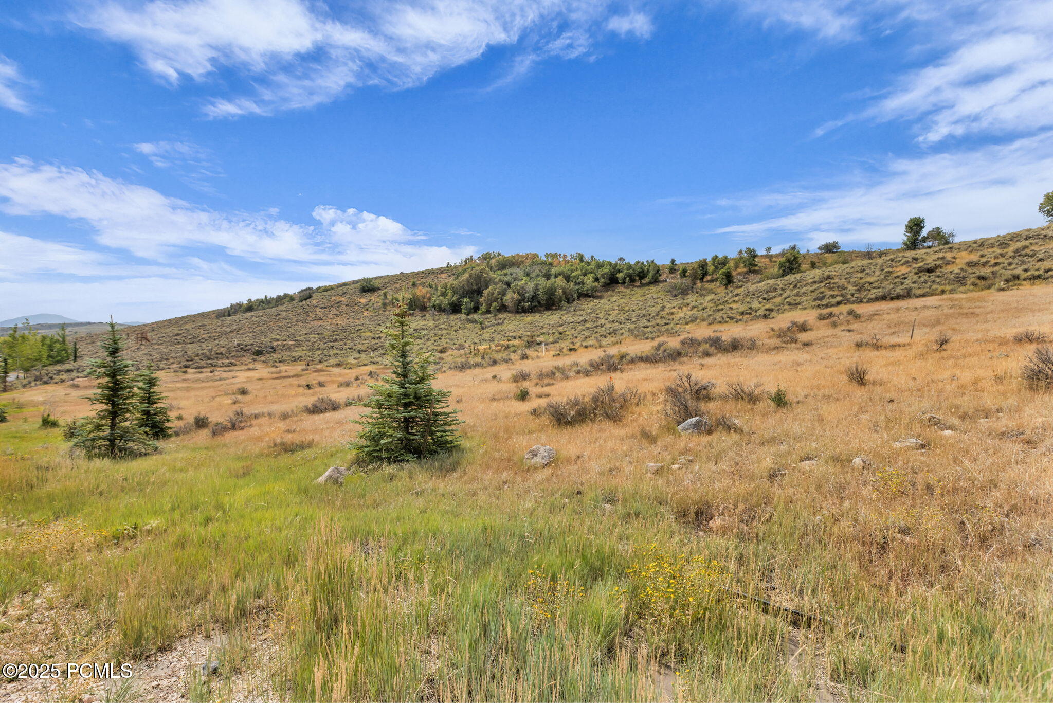 6297 Painted Valley Pass