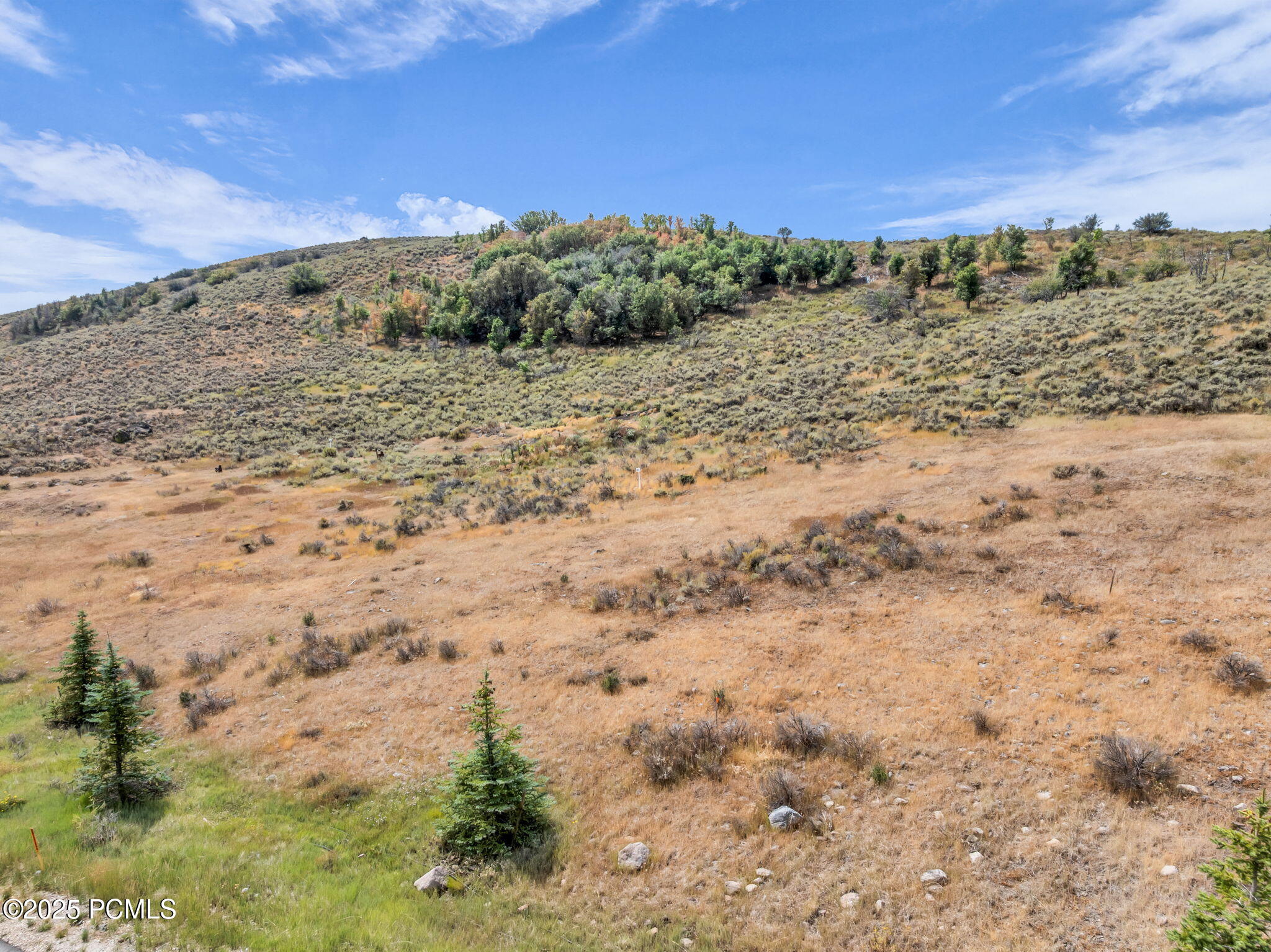 6297 Painted Valley Pass