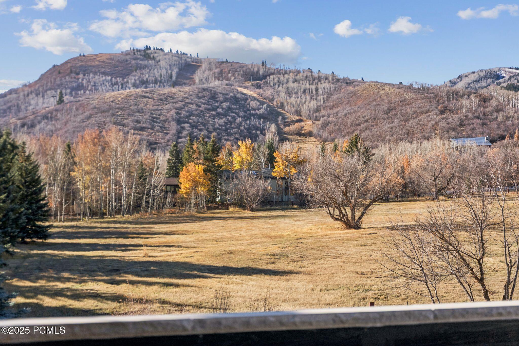 2083 Three Kings Court