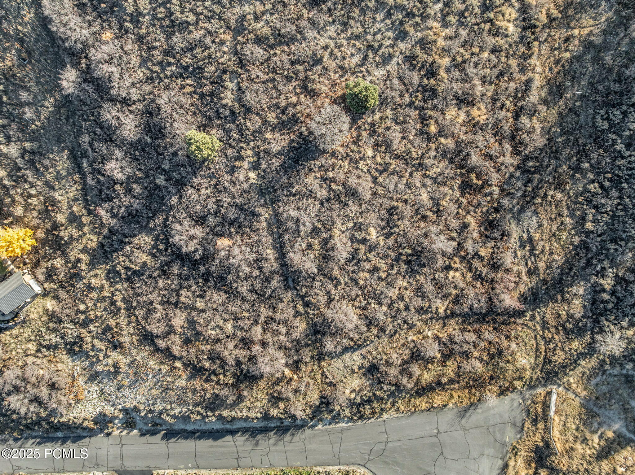 1380 Innsbruck Drive, 39