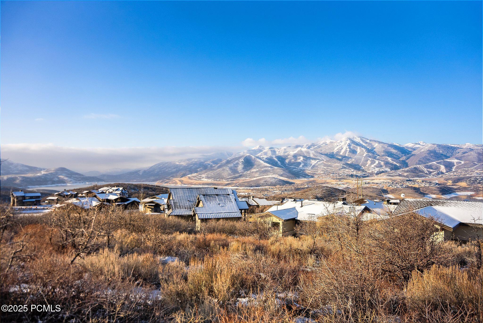 10492 N Forevermore Court 10