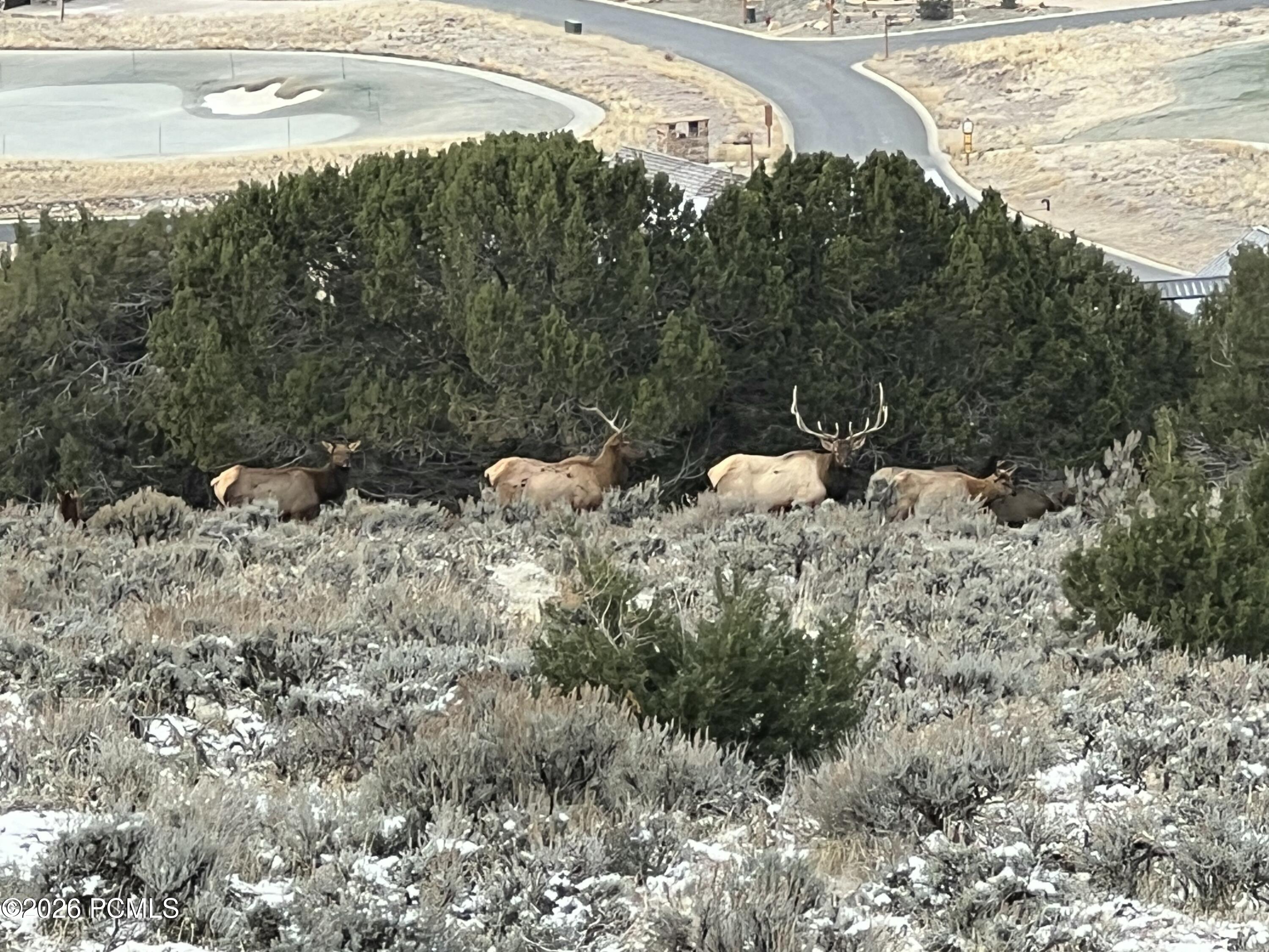 1125 N Explorer Peak Dr