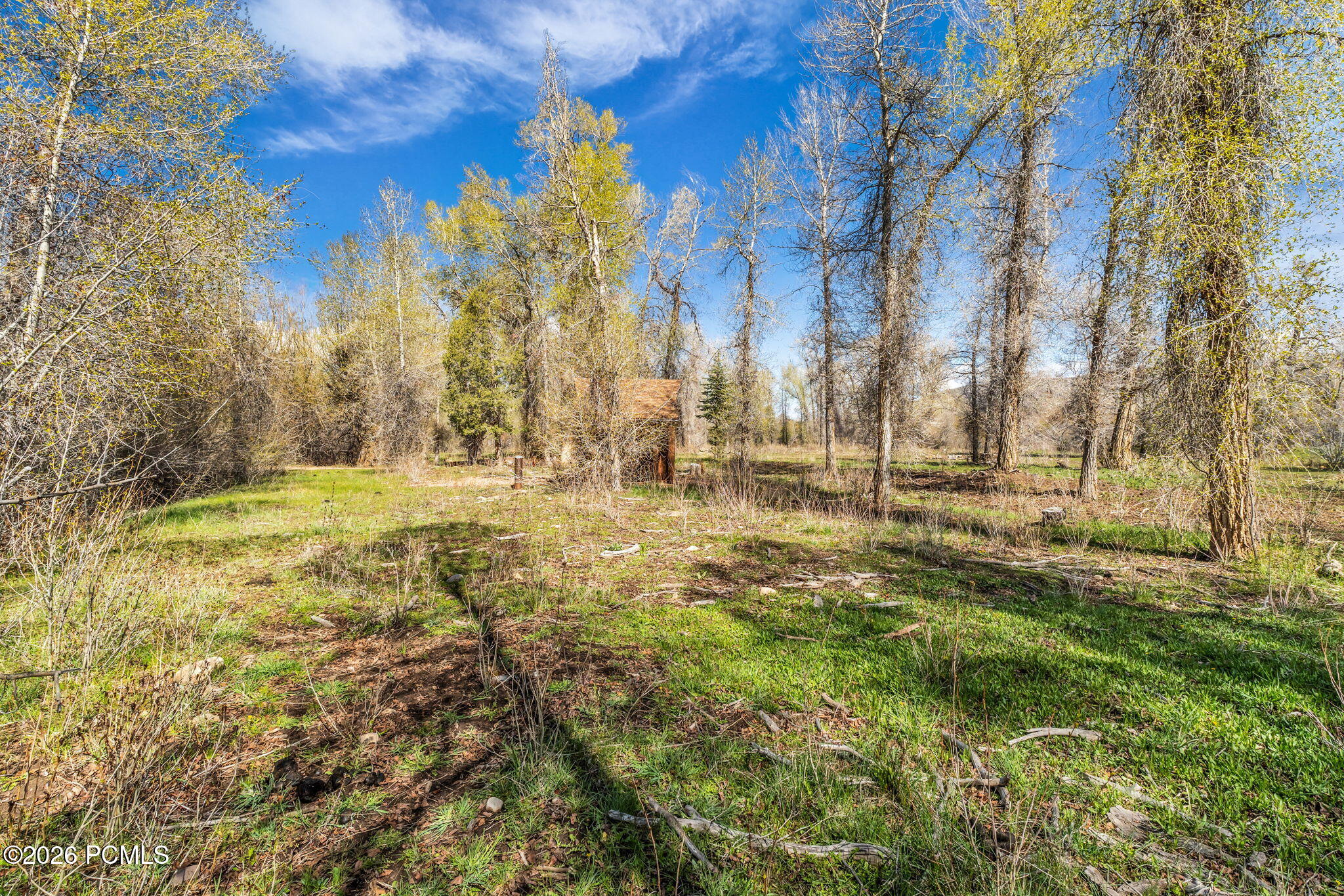 No Situs (S. Bench Creek- Cd-2202-A)