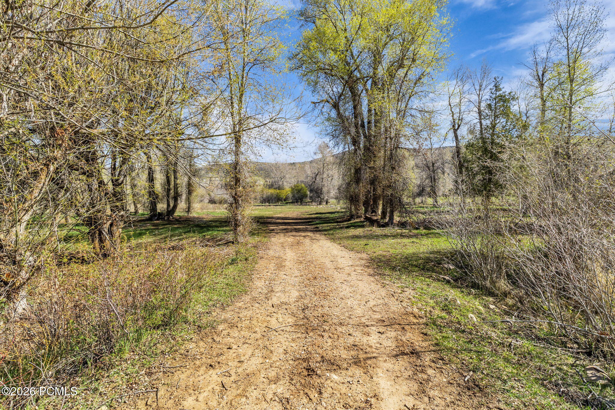 No Situs (S. Bench Creek- Cd-2202-A)