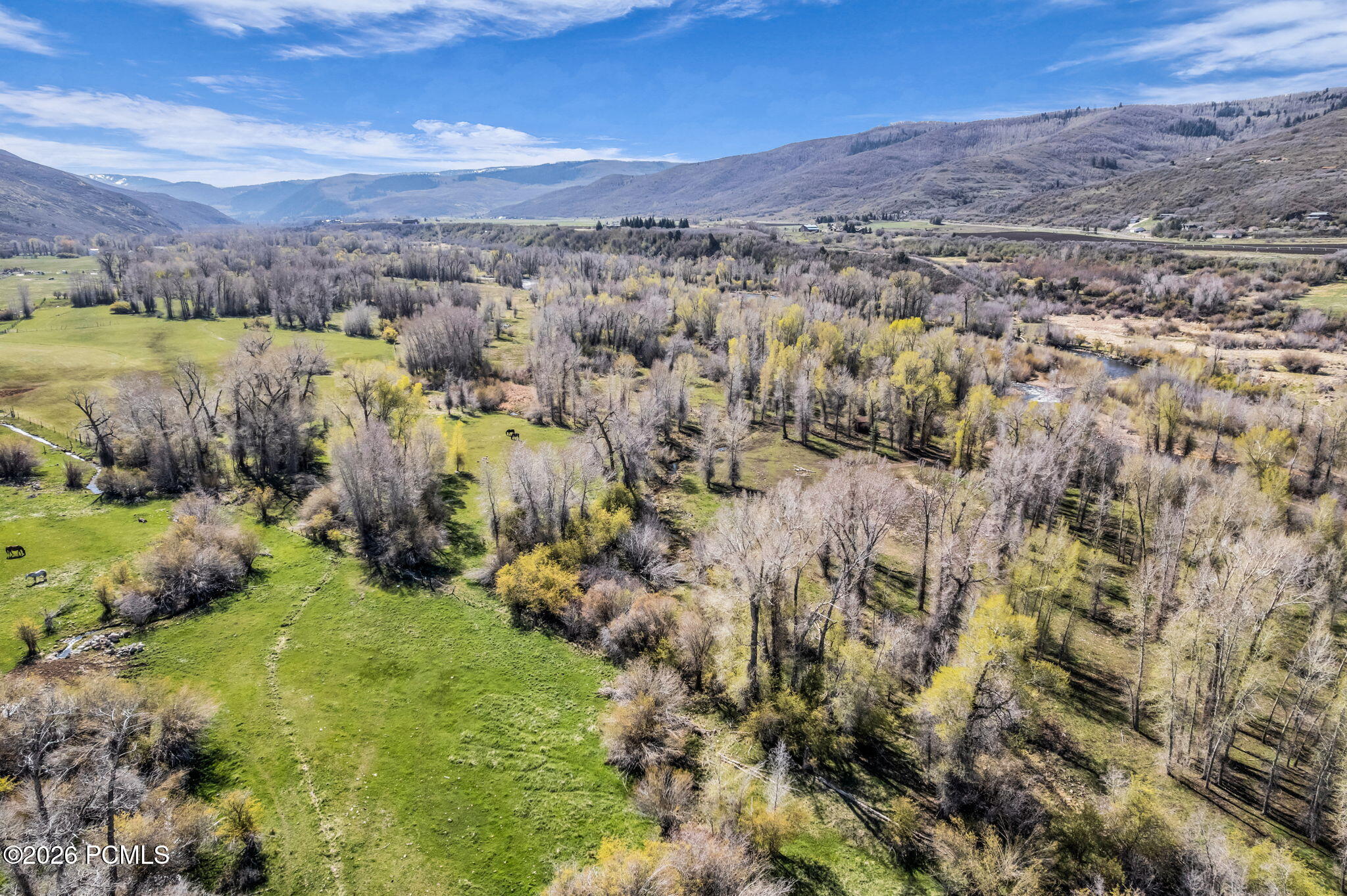 No Situs (S. Bench Creek- Cd-2202-A)