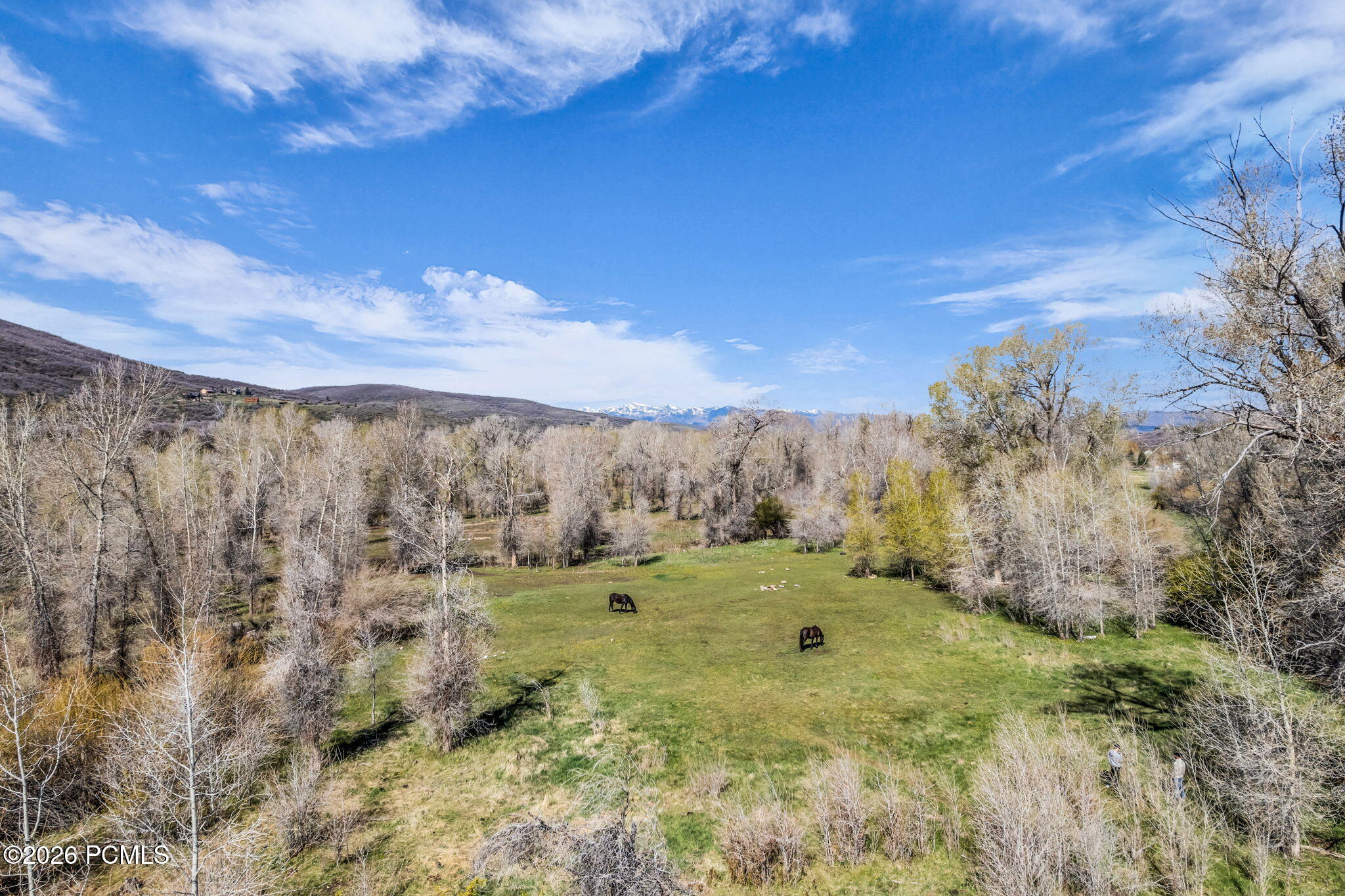 No Situs (S. Bench Creek- Cd-2202-A)