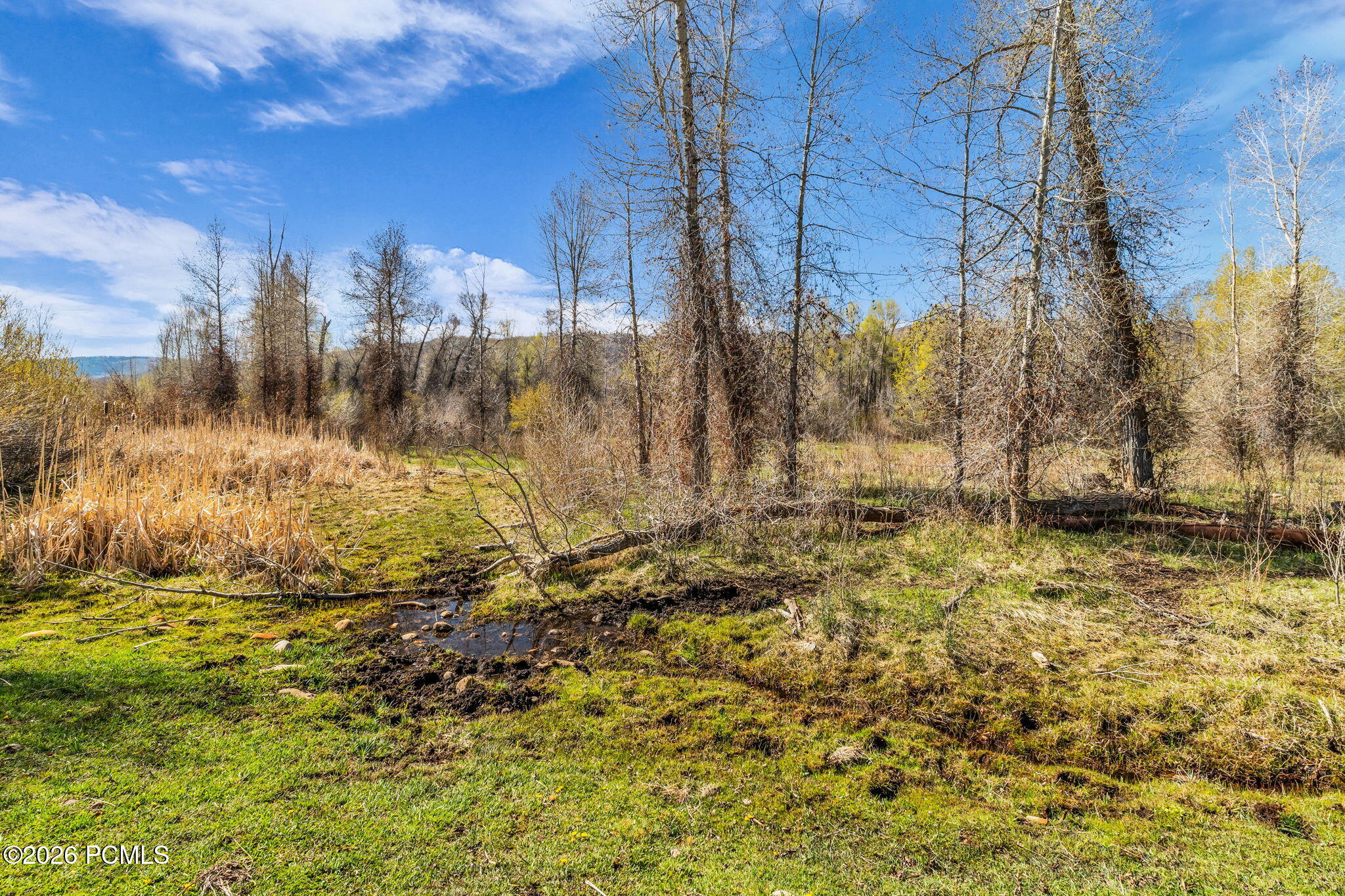 No Situs (S. Bench Creek- Cd-2202-A)