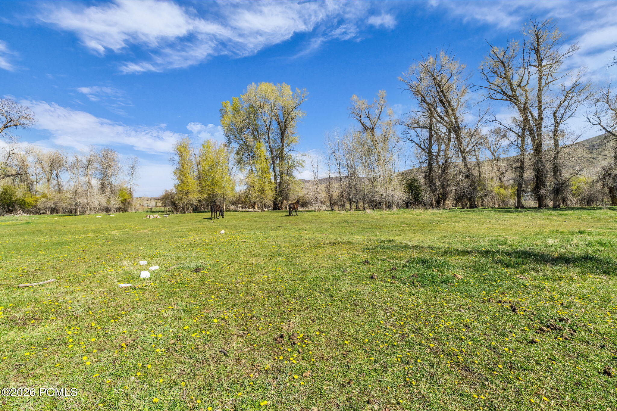 No Situs (S. Bench Creek- Cd-2202-A)