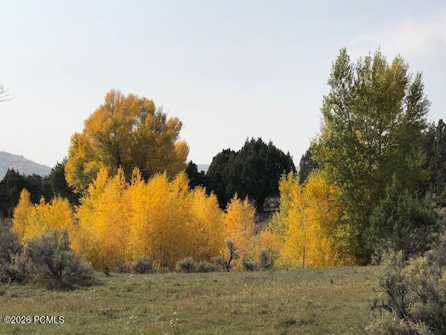 8398 N Highway 302