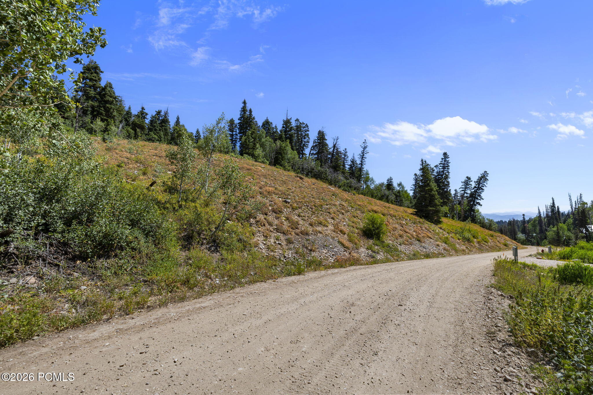 1542 W Alexander Canyon Rd 95