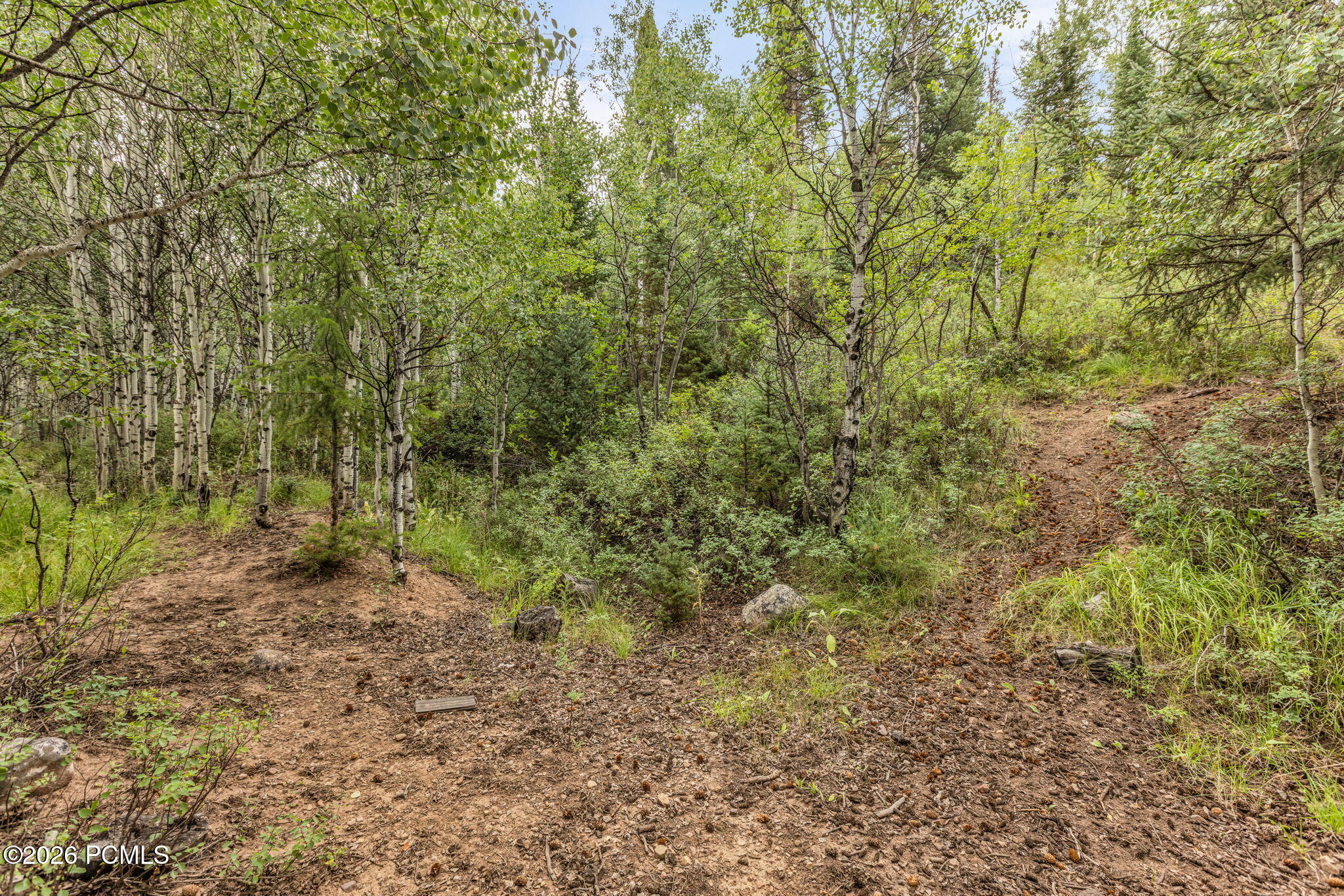 4611 Conifer Drive 611