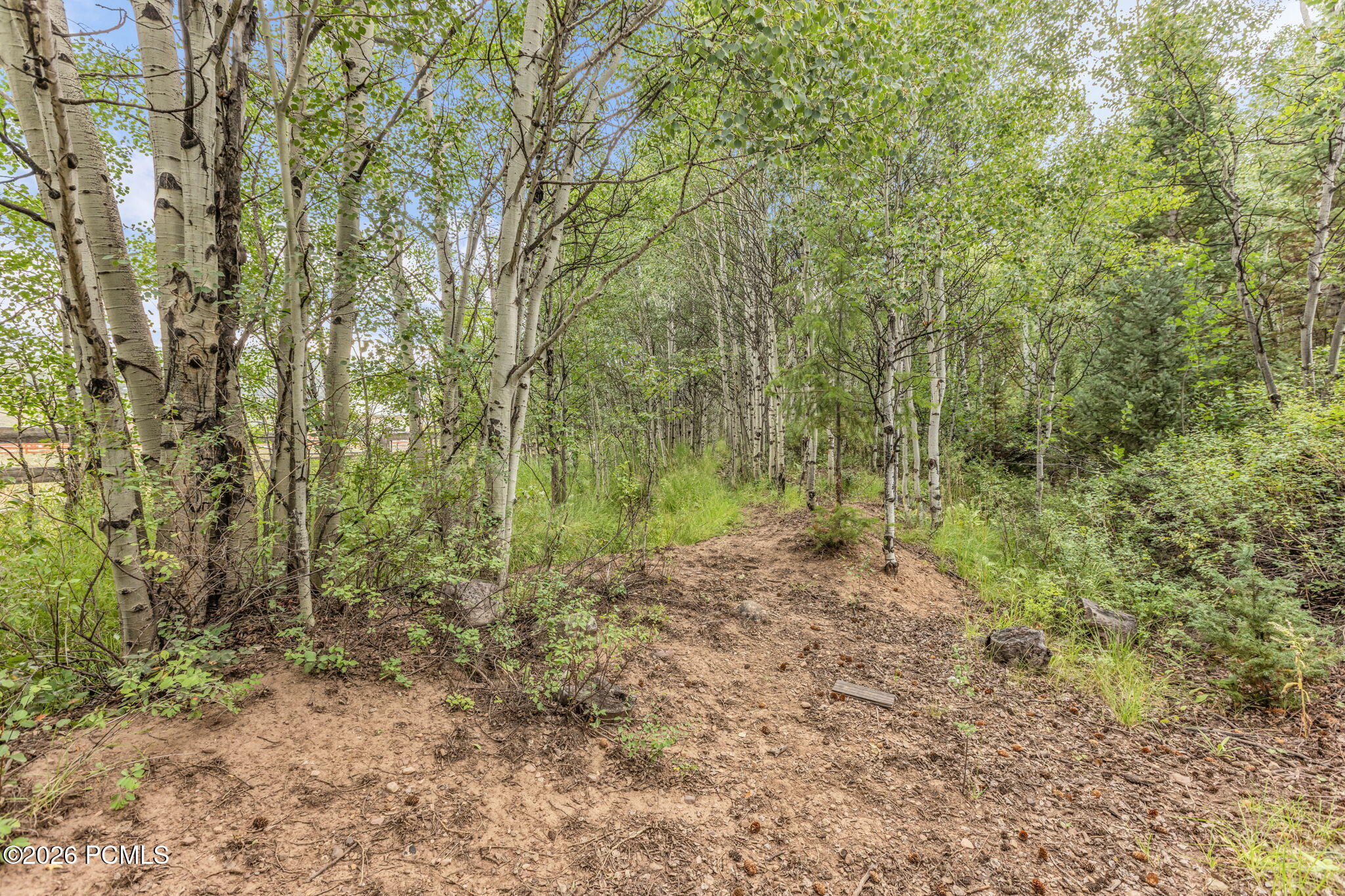 4611 Conifer Drive 611