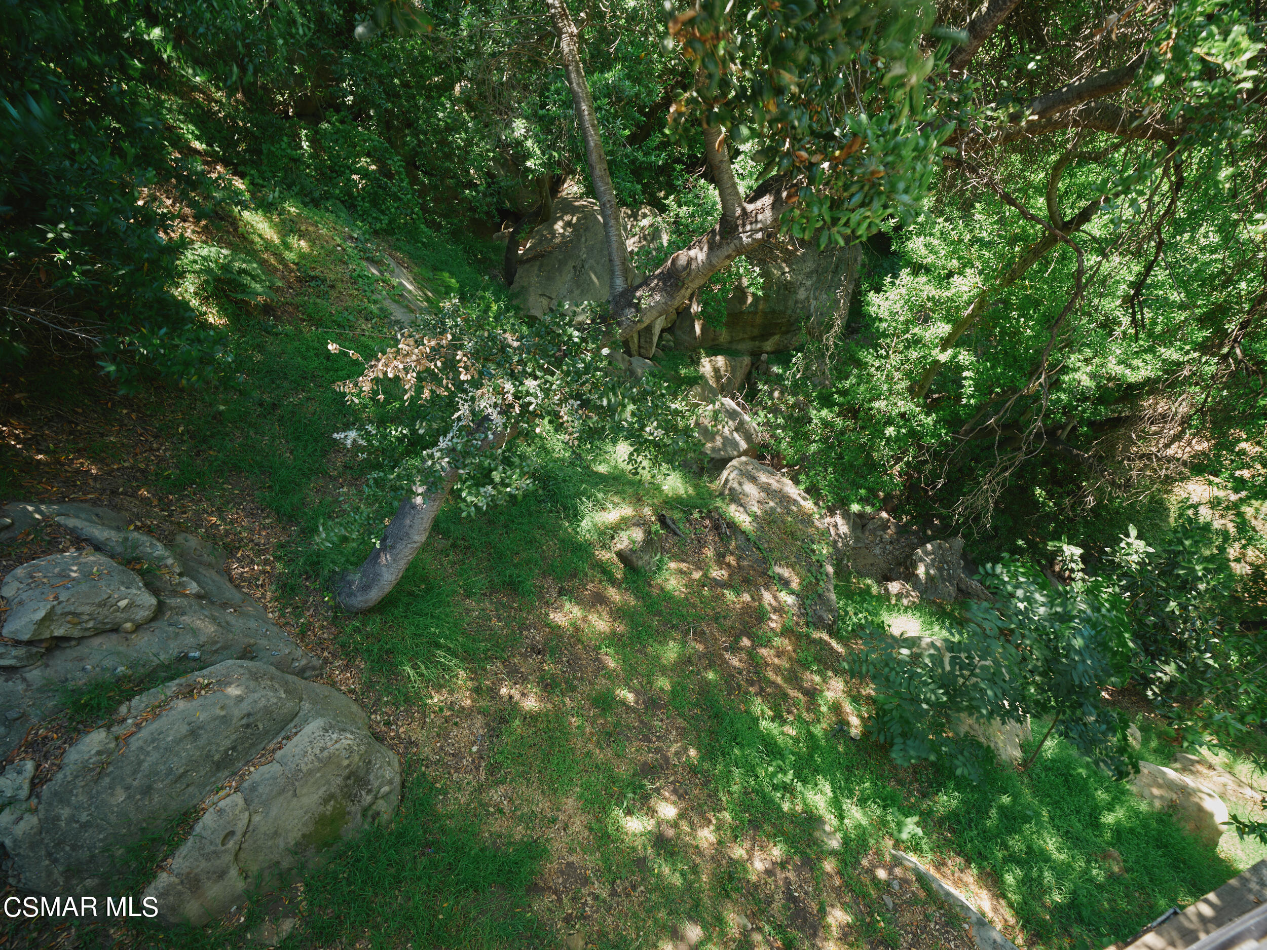 19833 Observation Drive