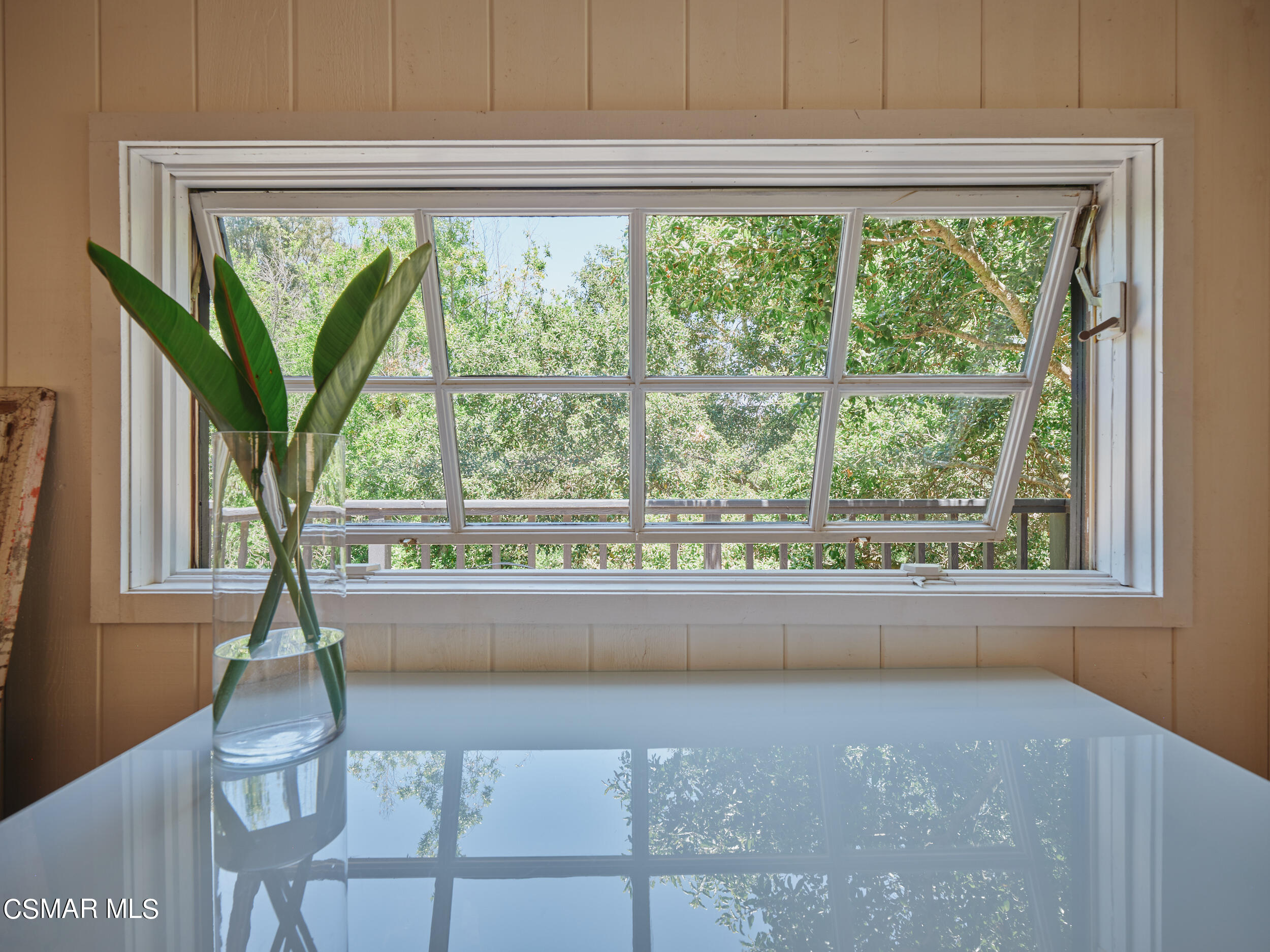 19833 Observation Drive