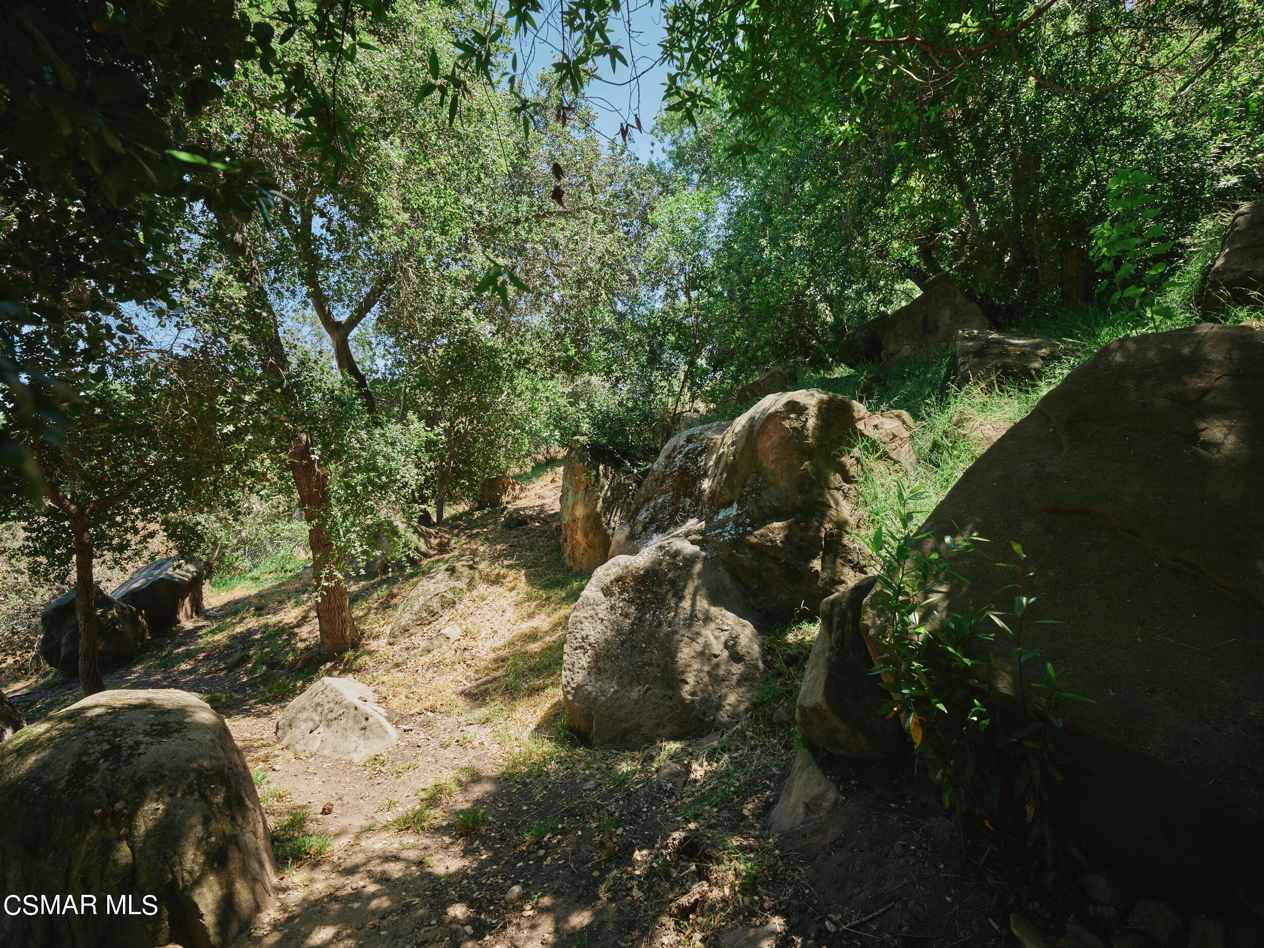 19833 Observation Drive