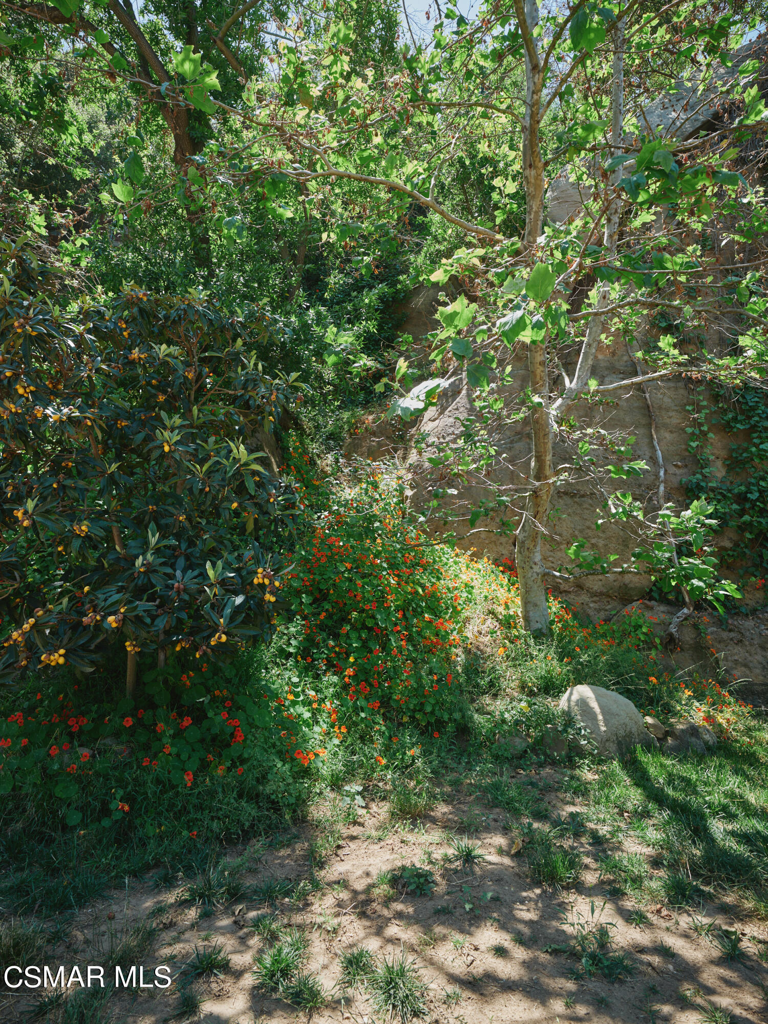 19833 Observation Drive