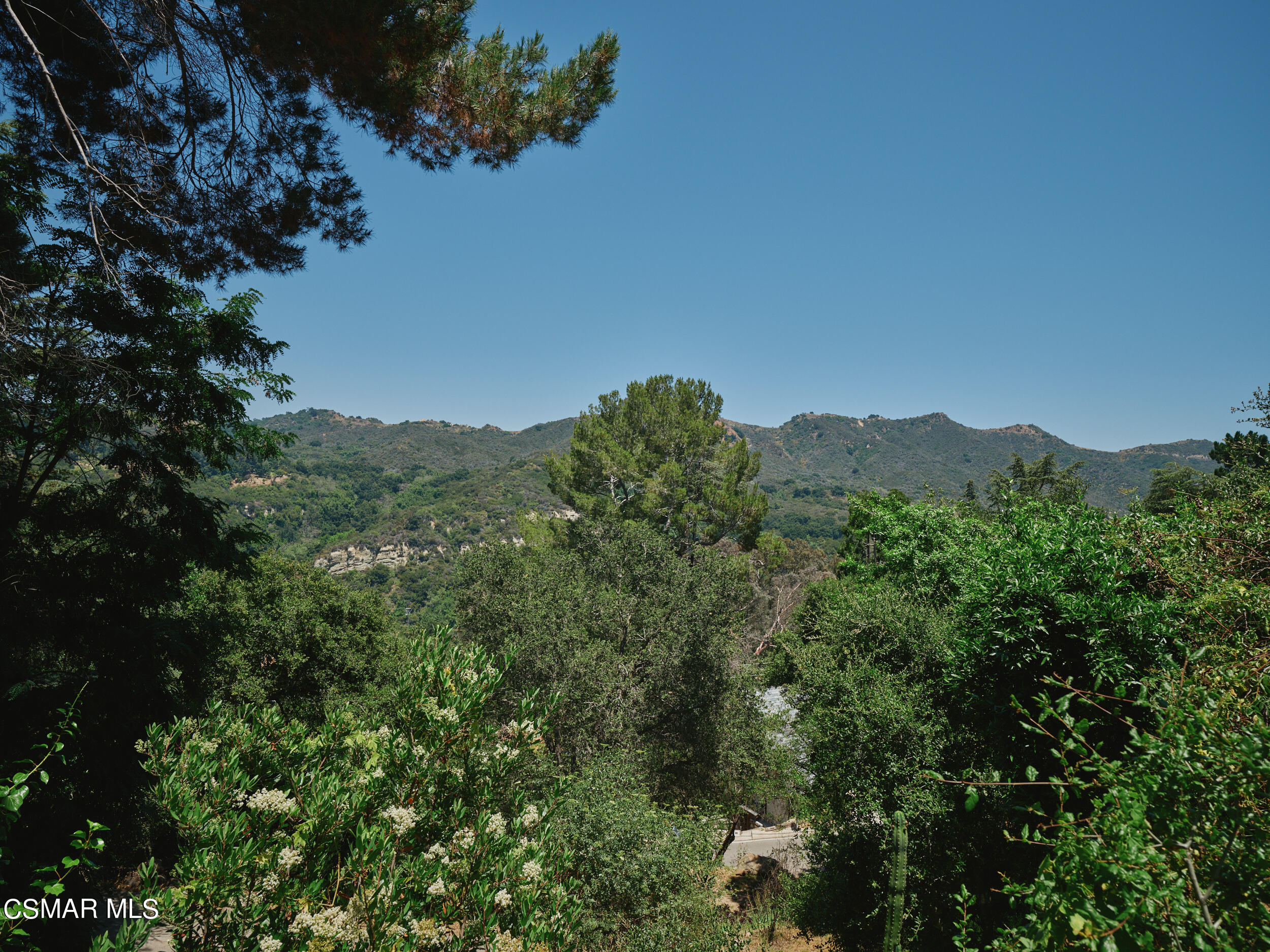 19833 Observation Drive