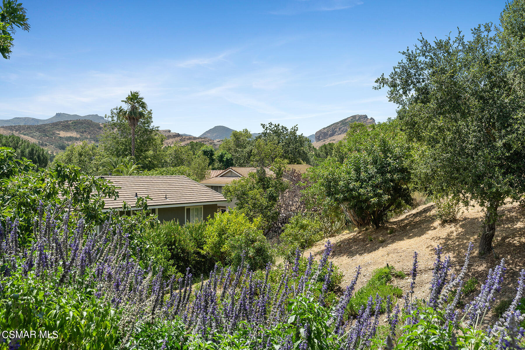 1243 Bucksmoore Court