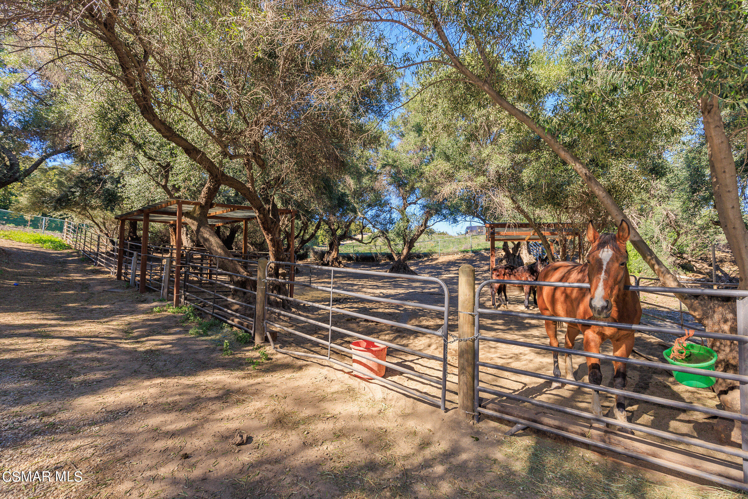 8451 Roseland Avenue