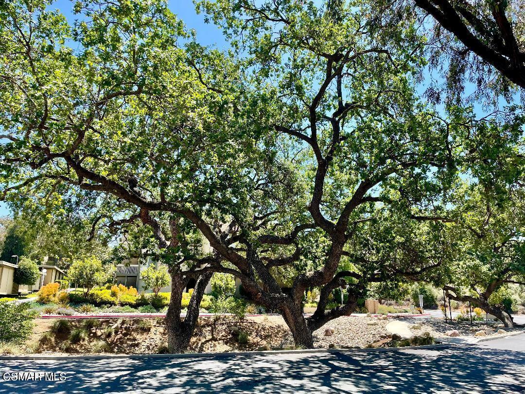 460 Arbor Lane Court, 204